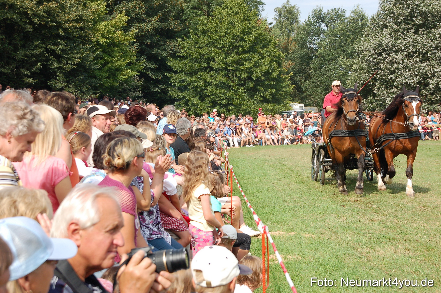 0092 Pferdeschau Volksfest 170809