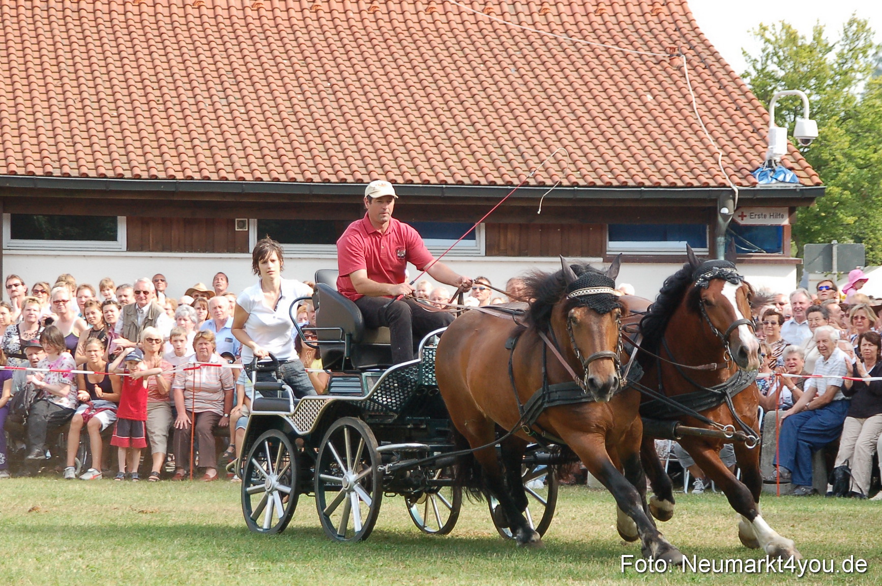 0093 Pferdeschau Volksfest 170809
