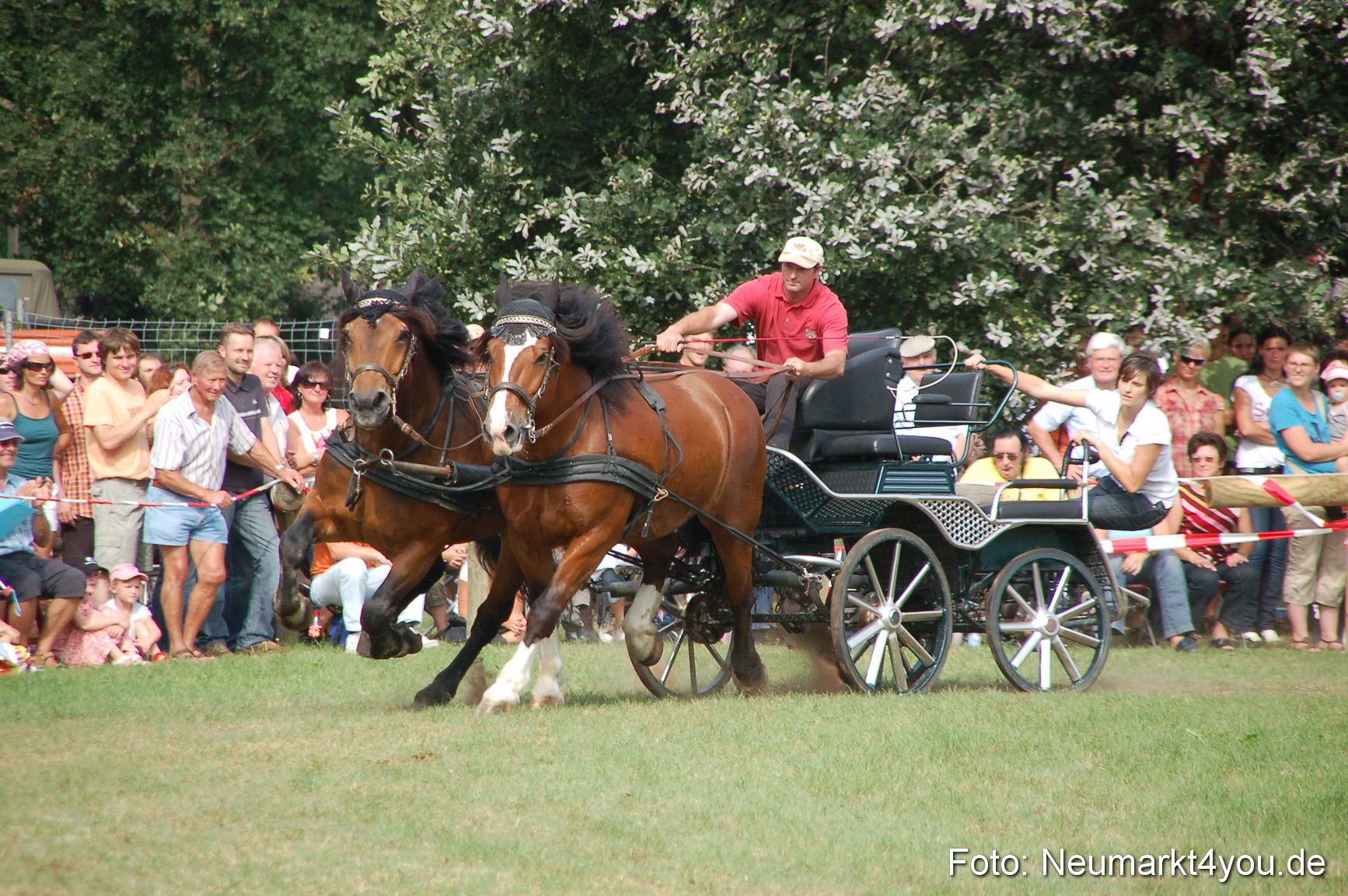 0094 Pferdeschau Volksfest 170809