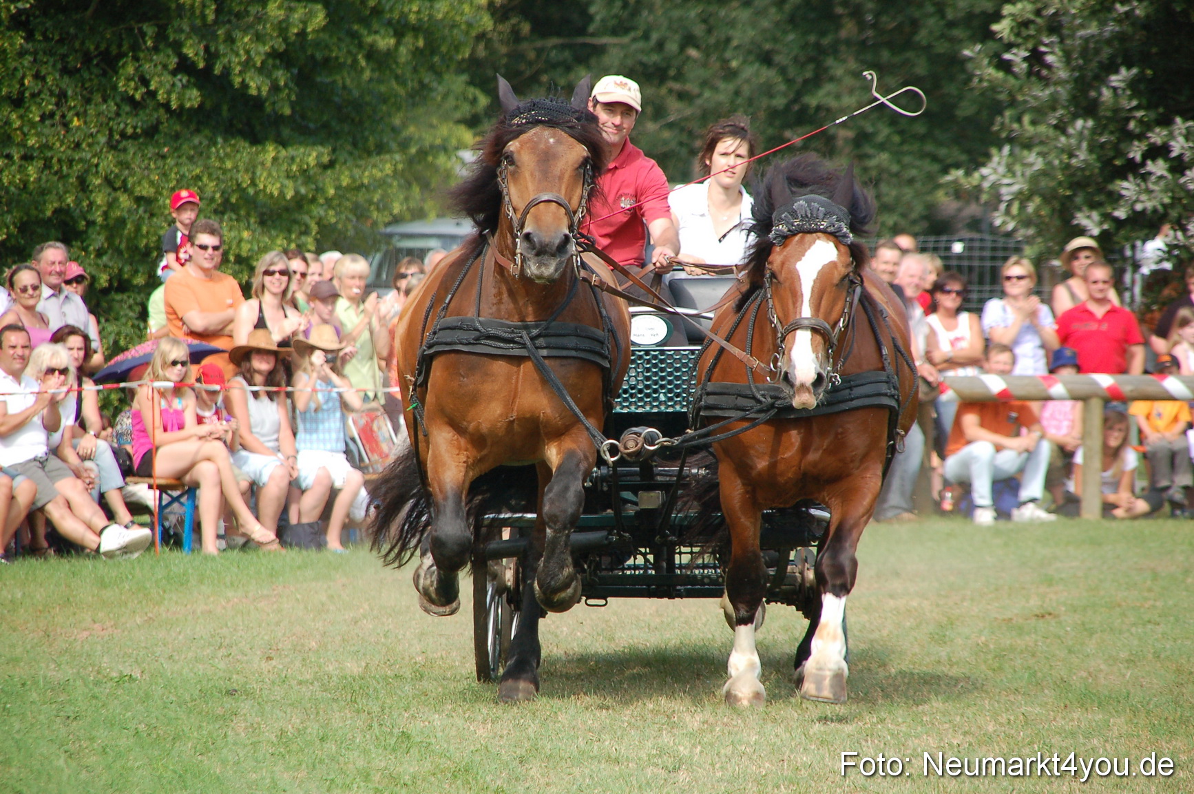 0095 Pferdeschau Volksfest 170809