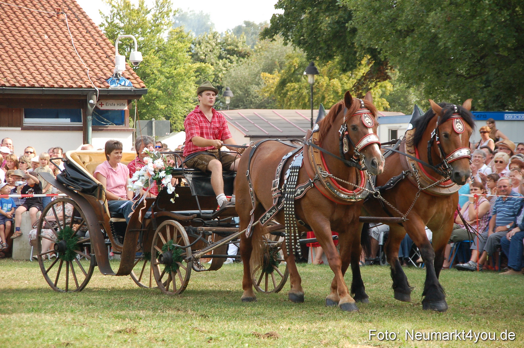 0098 Pferdeschau Volksfest 170809