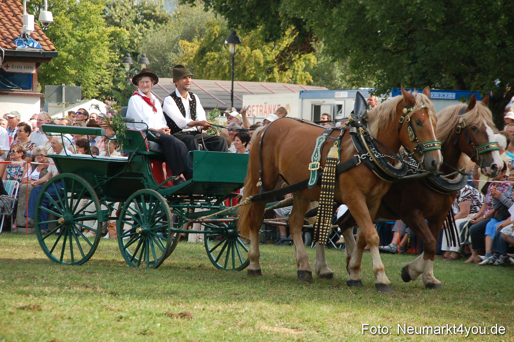 0099 Pferdeschau Volksfest 170809