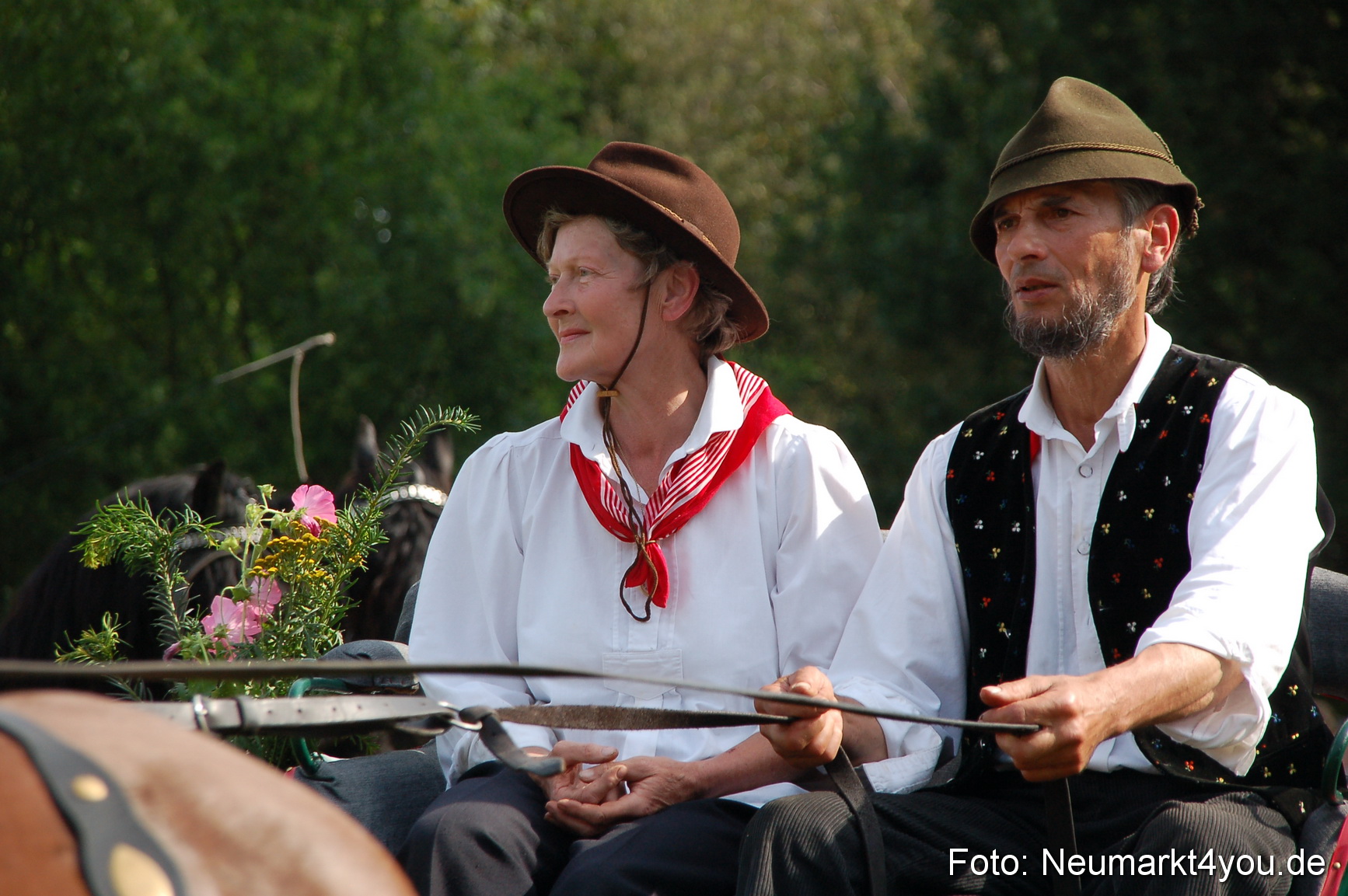 0100 Pferdeschau Volksfest 170809