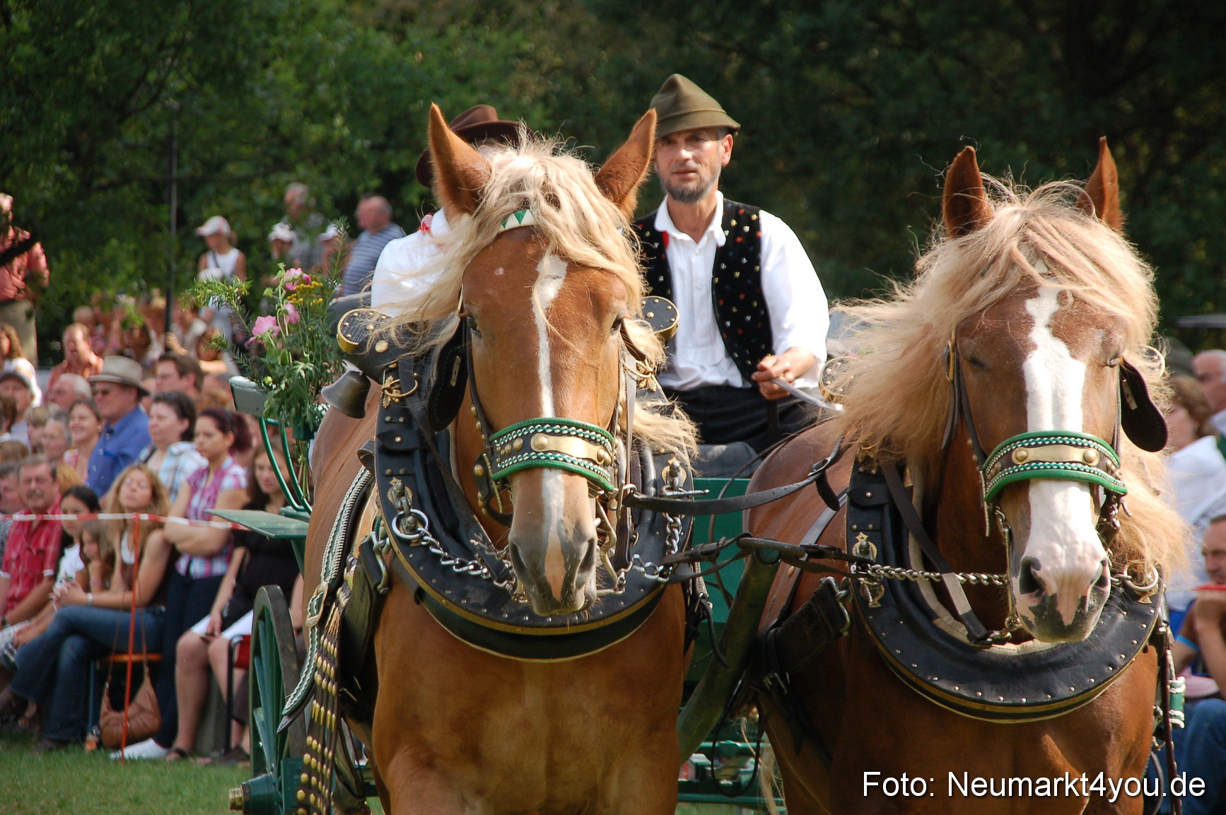 0101 Pferdeschau Volksfest 170809