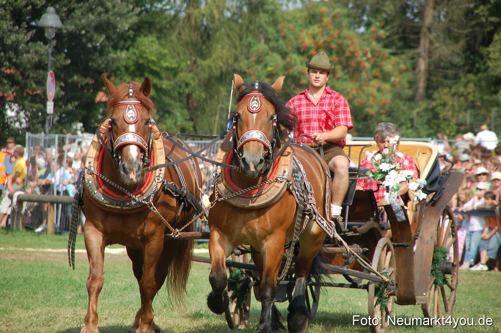 0102 Pferdeschau Volksfest 170809