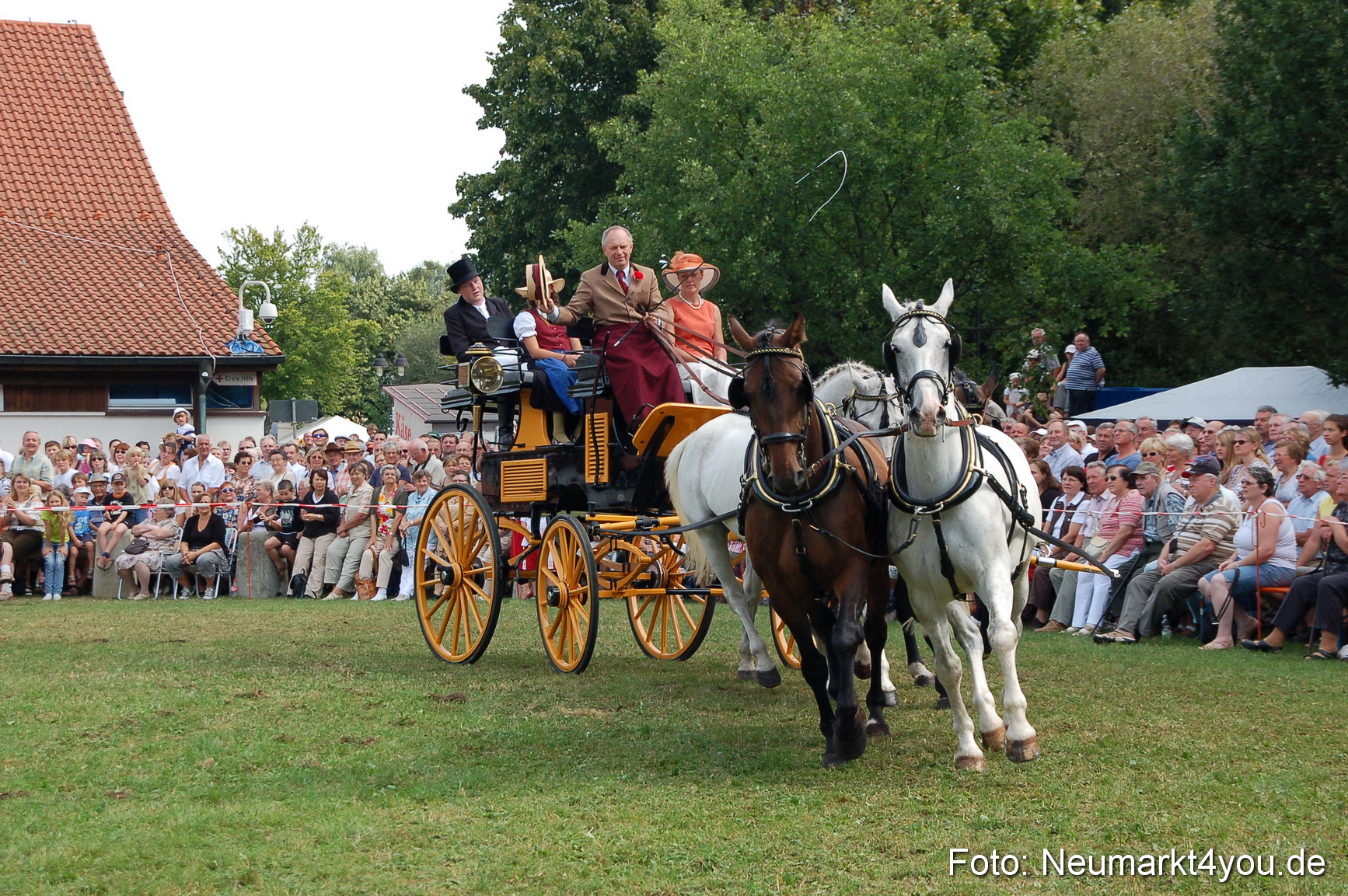 0106 Pferdeschau Volksfest 170809