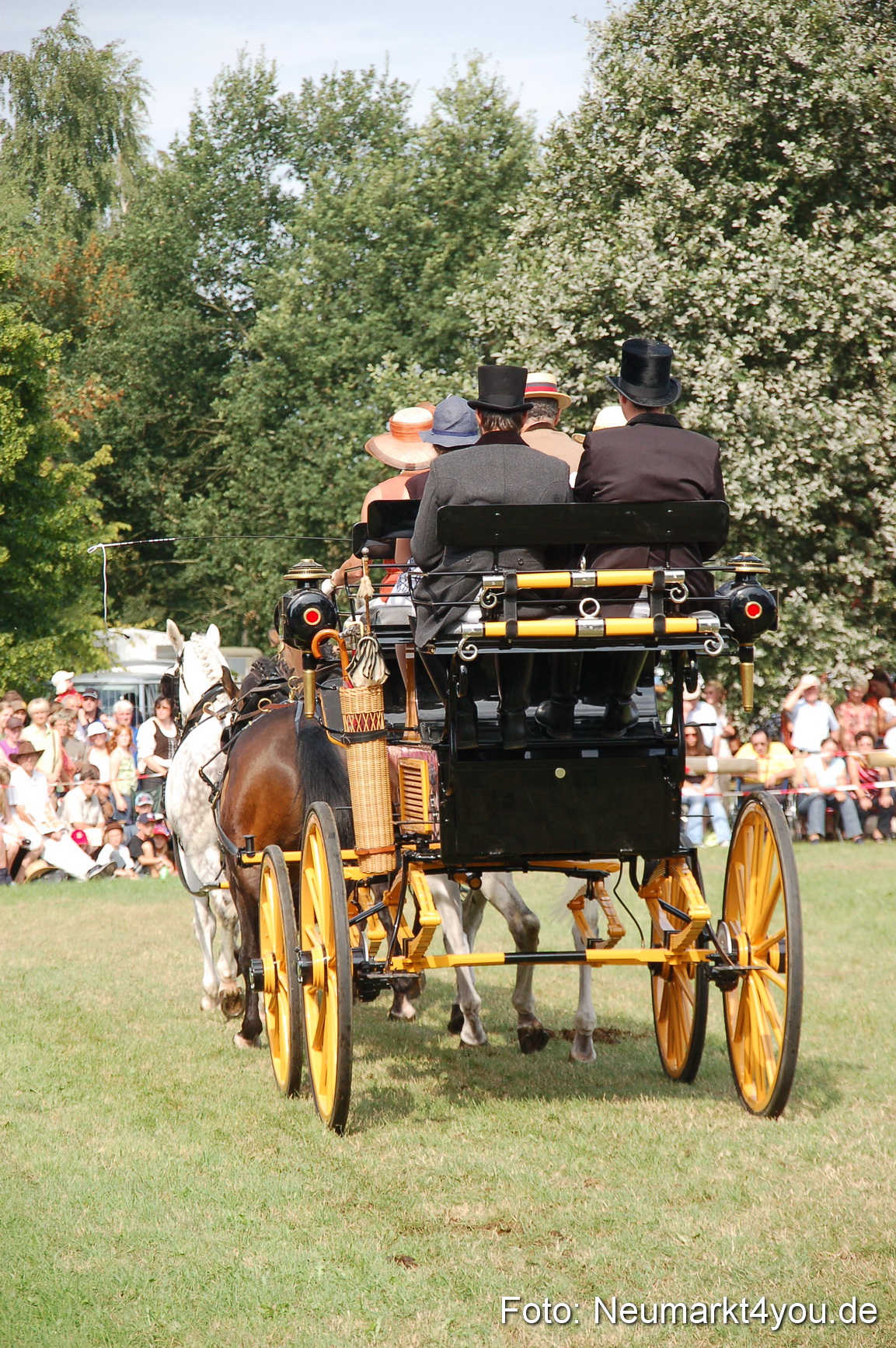 0108 Pferdeschau Volksfest 170809