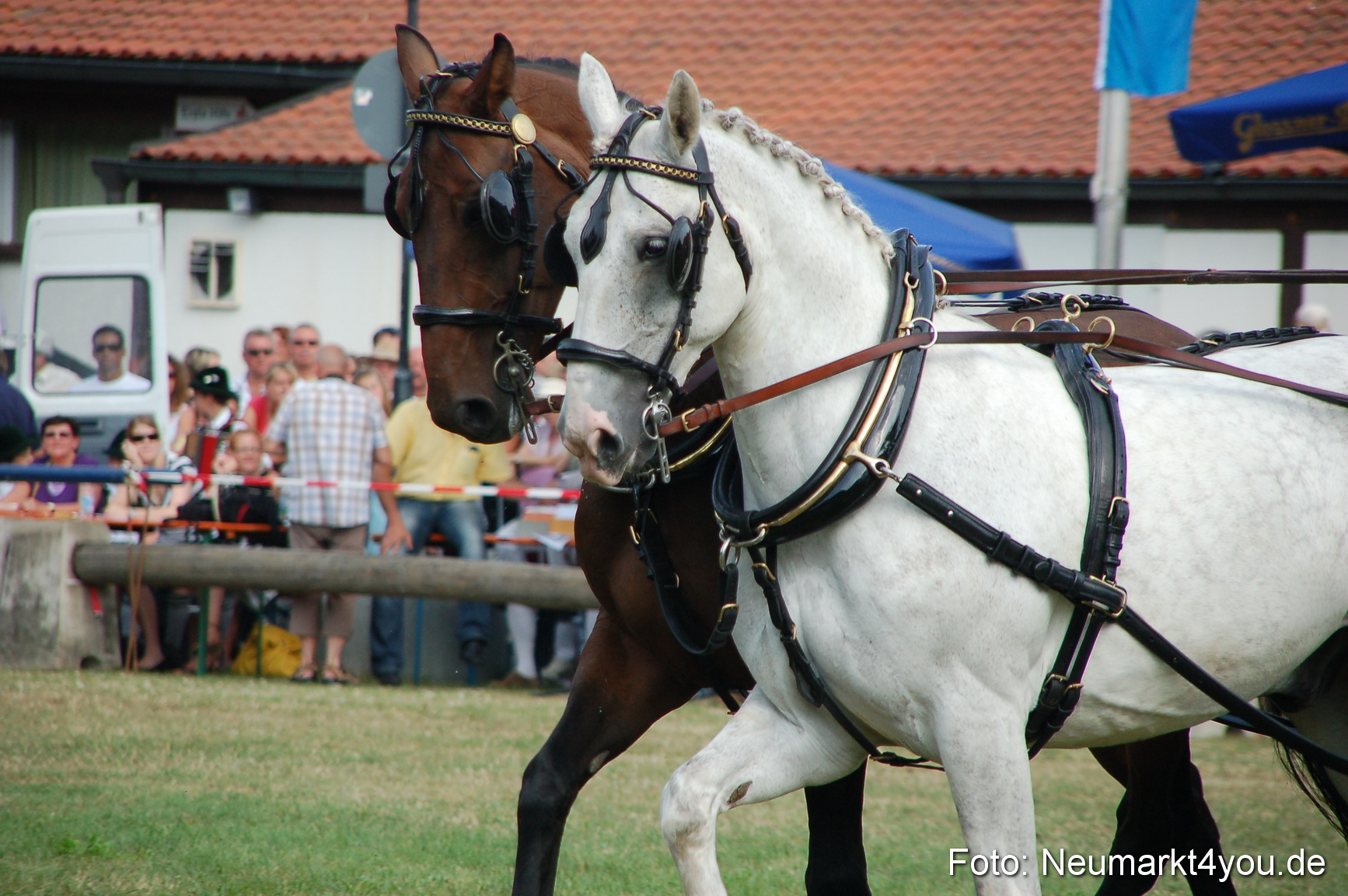 0110 Pferdeschau Volksfest 170809