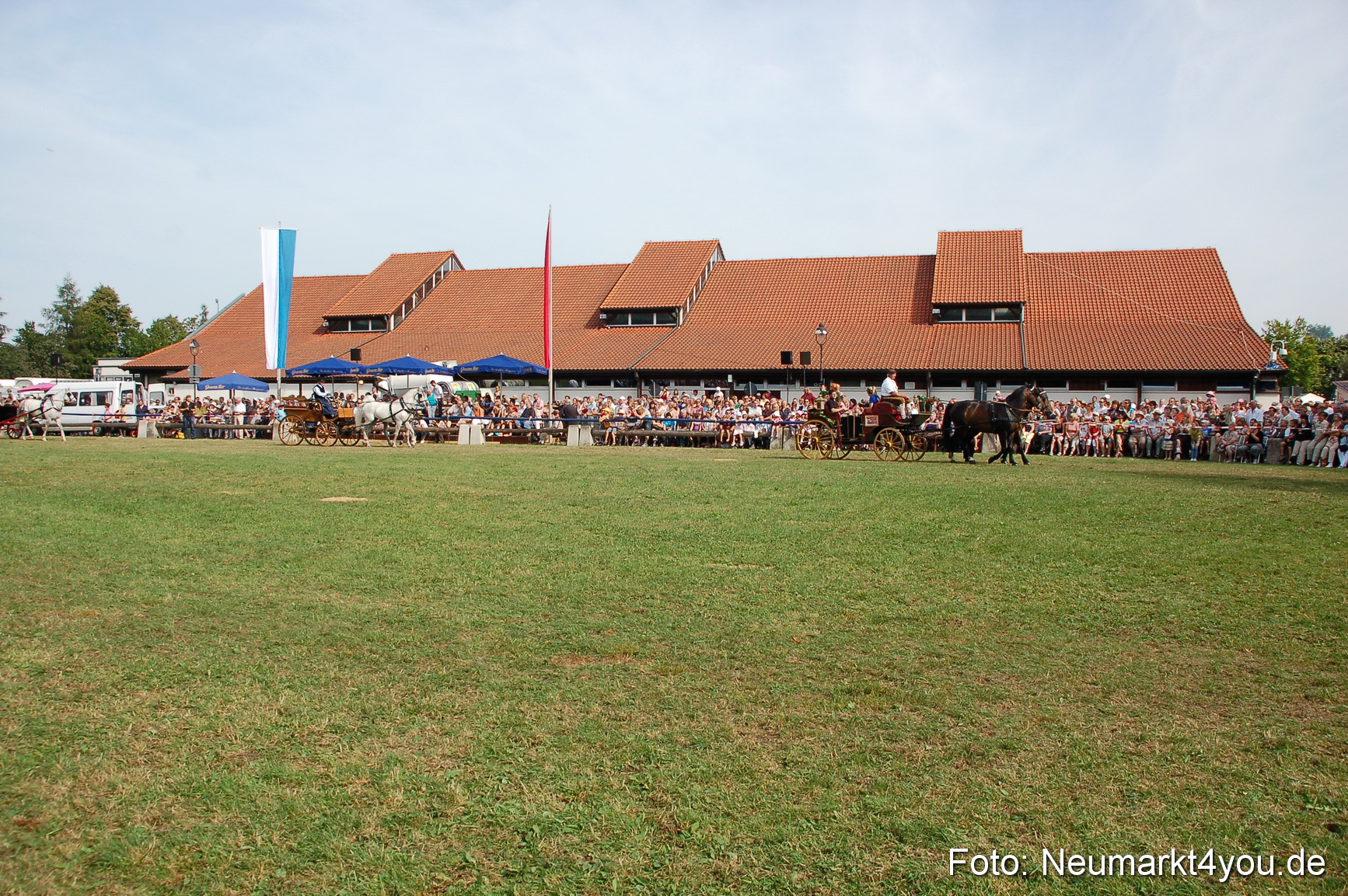0111 Pferdeschau Volksfest 170809