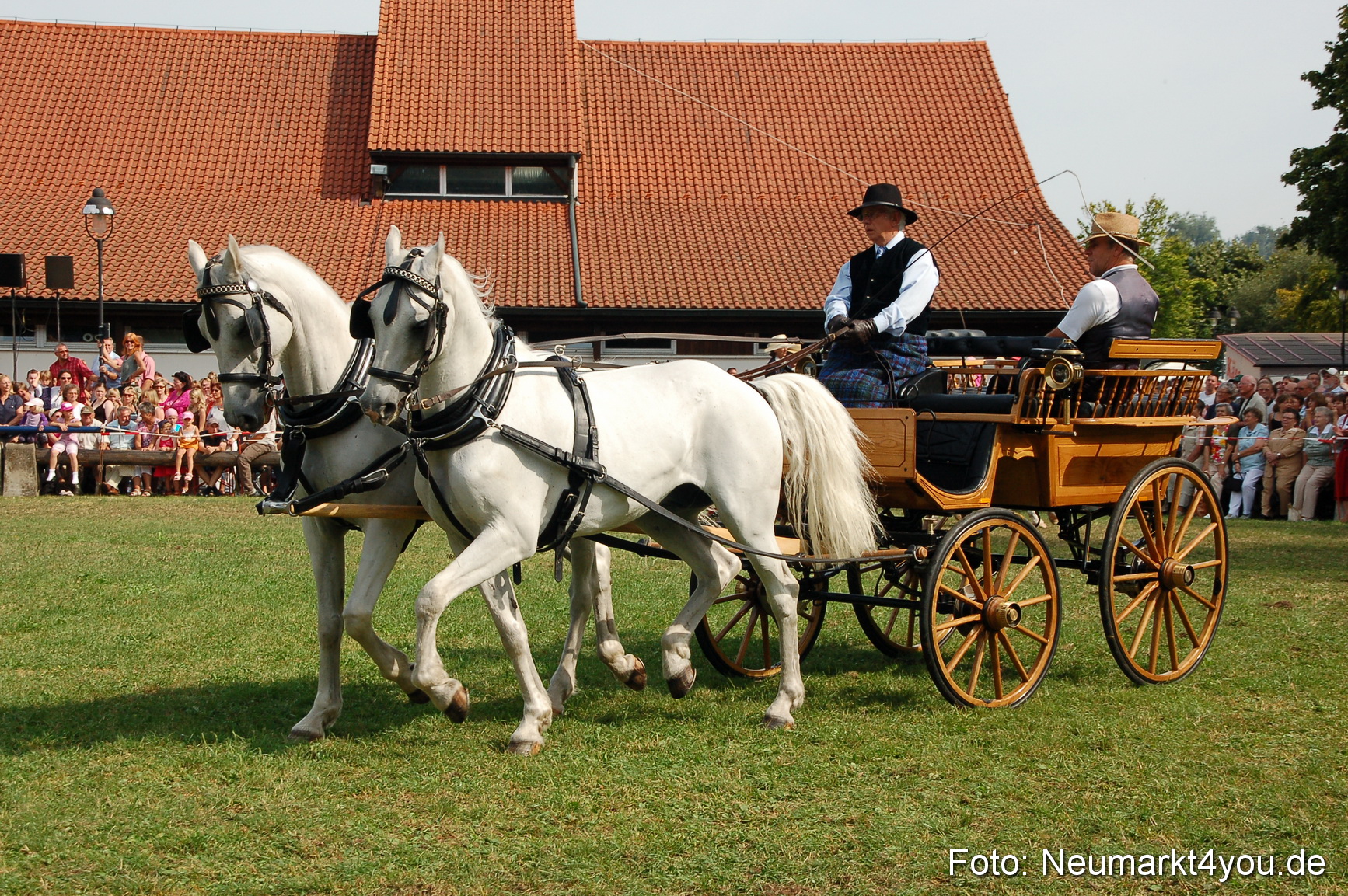 0113 Pferdeschau Volksfest 170809