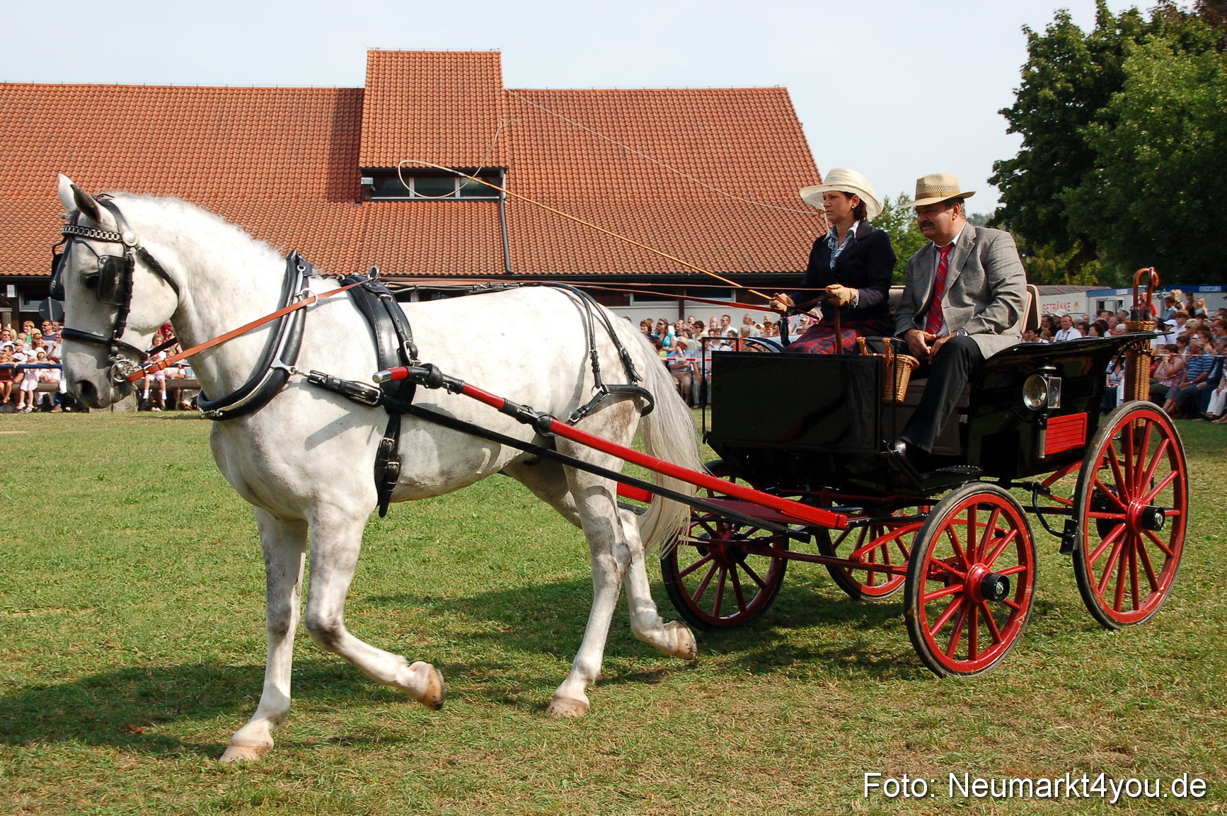 0114 Pferdeschau Volksfest 170809