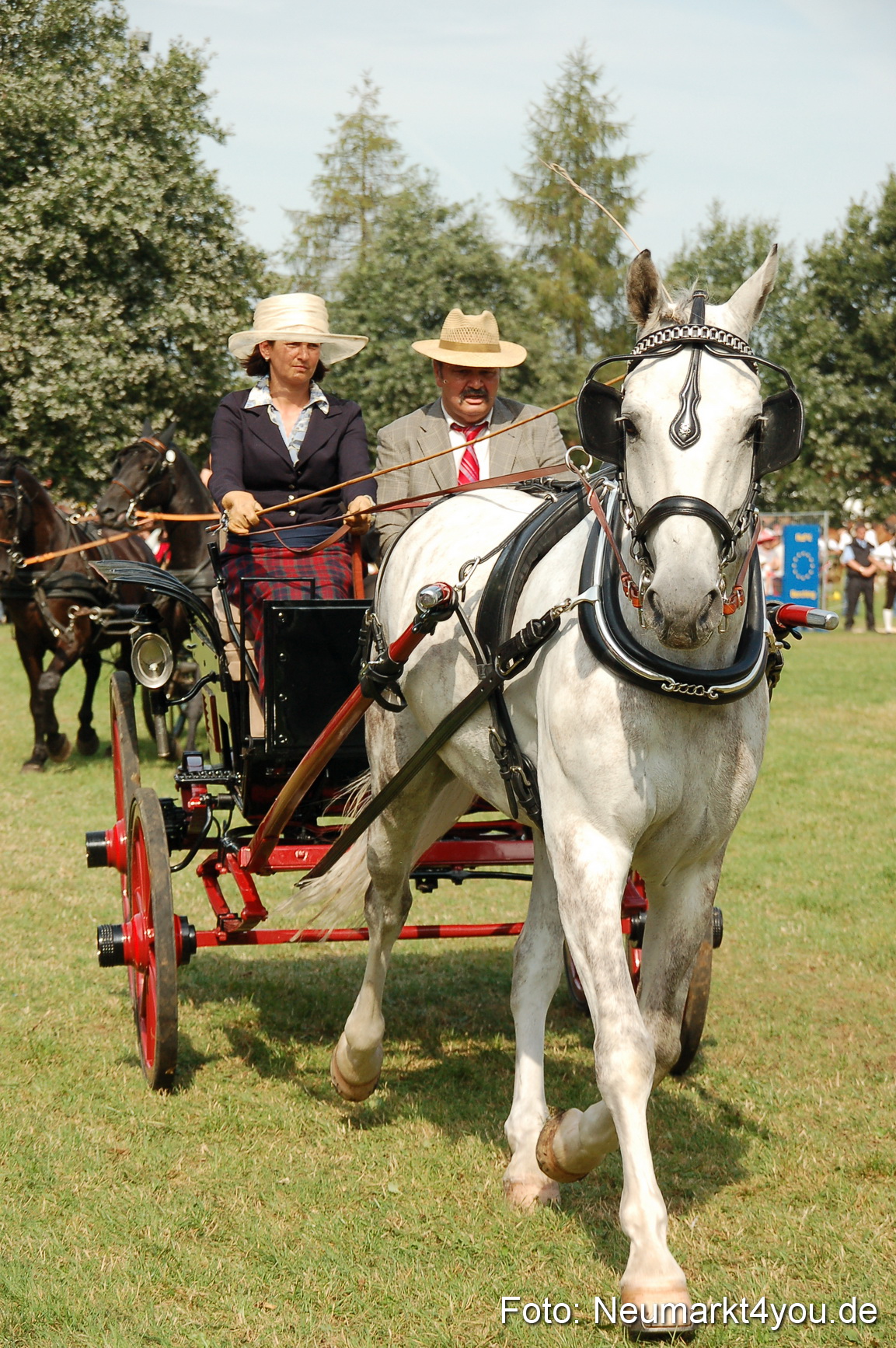 0116 Pferdeschau Volksfest 170809