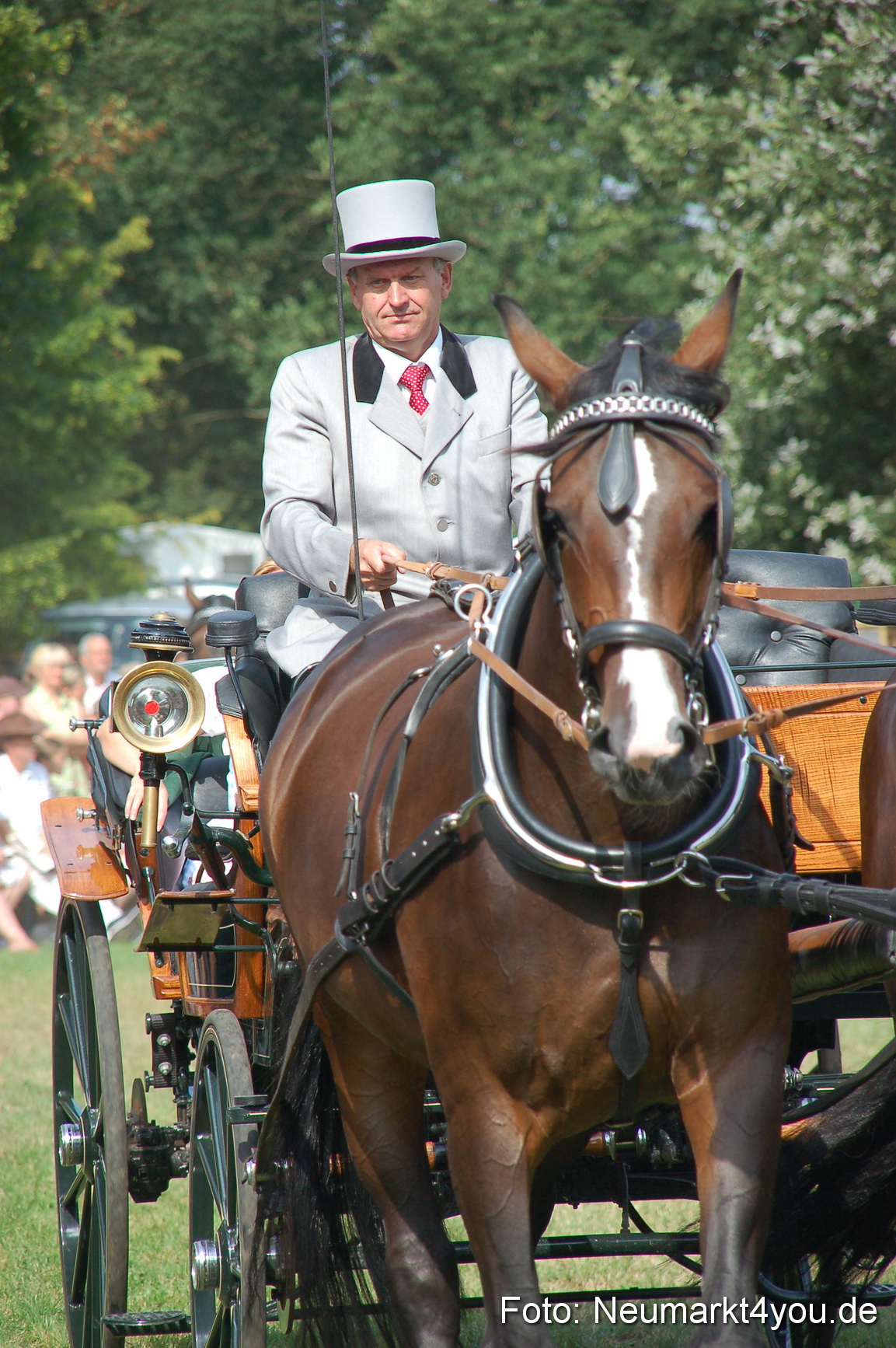 0119 Pferdeschau Volksfest 170809