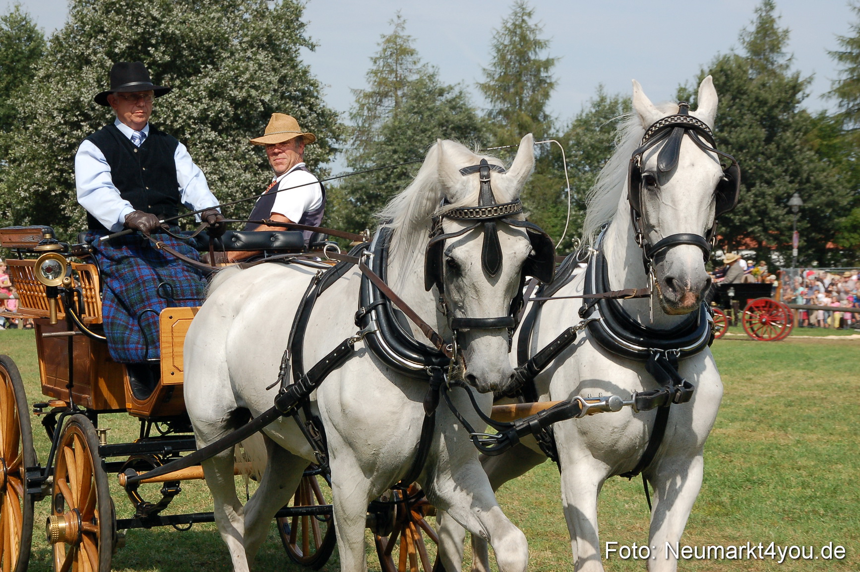 0121 Pferdeschau Volksfest 170809