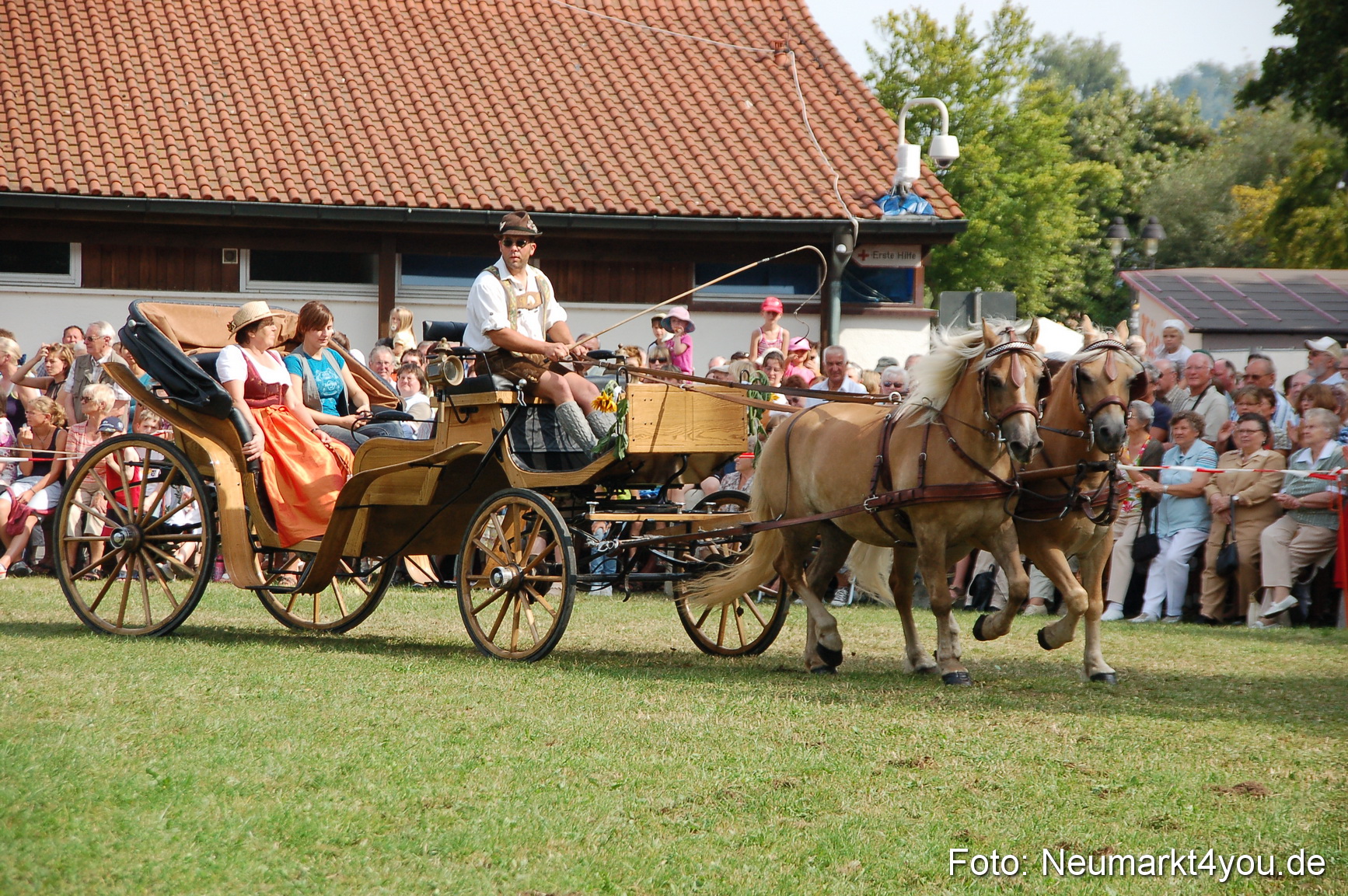 0122 Pferdeschau Volksfest 170809
