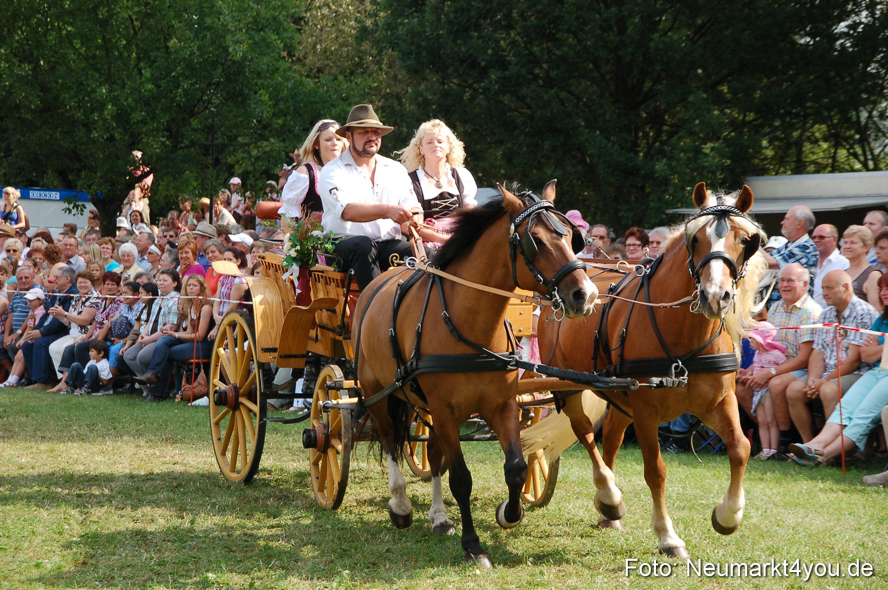 0123 Pferdeschau Volksfest 170809