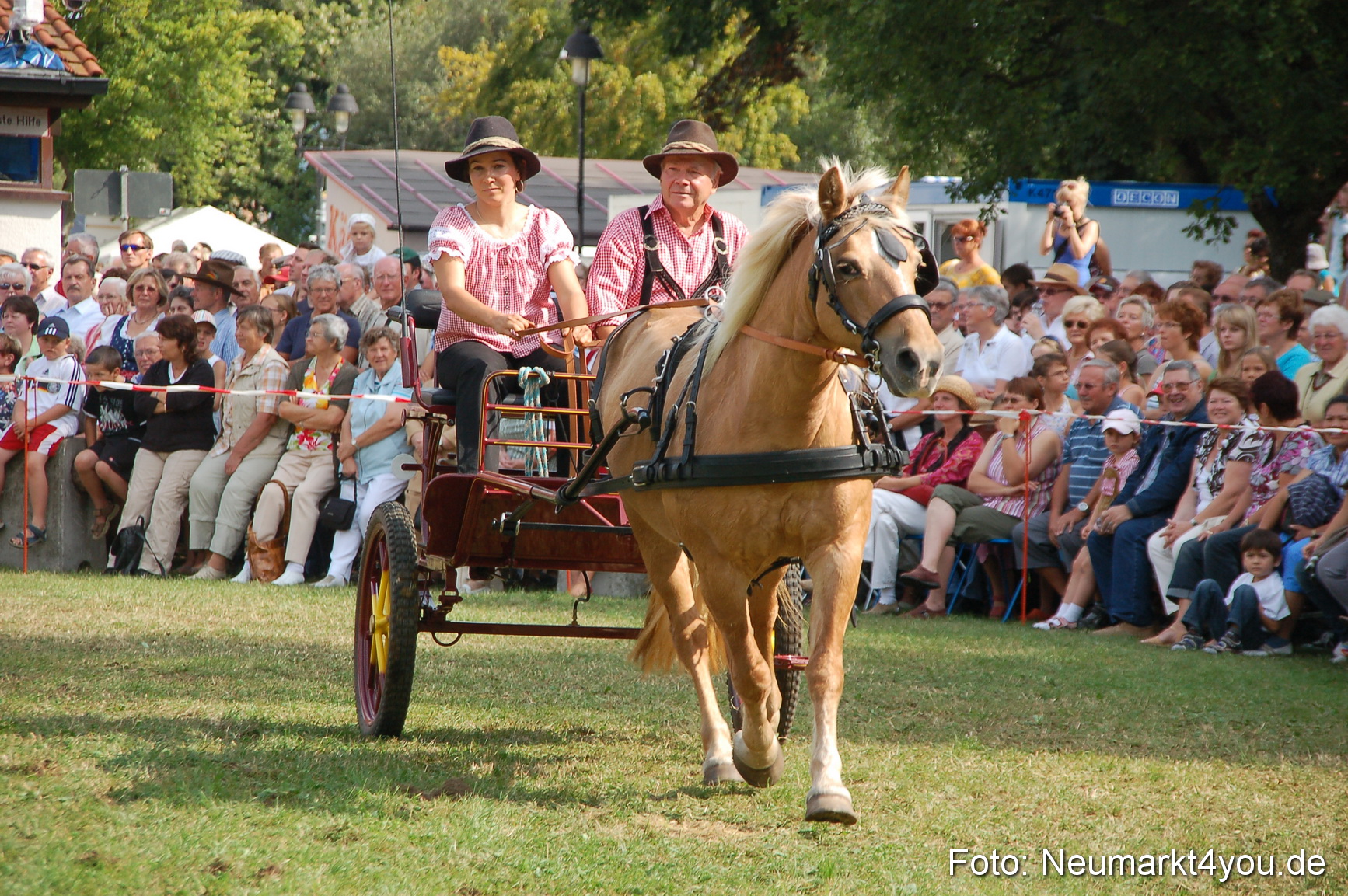 0124 Pferdeschau Volksfest 170809