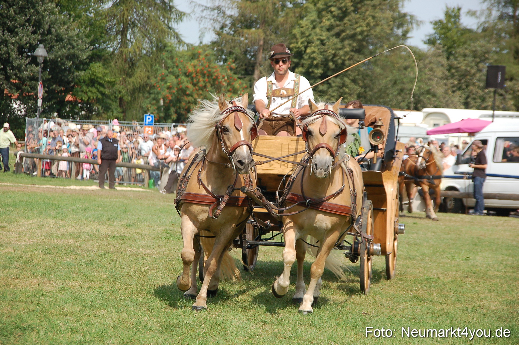 0126 Pferdeschau Volksfest 170809