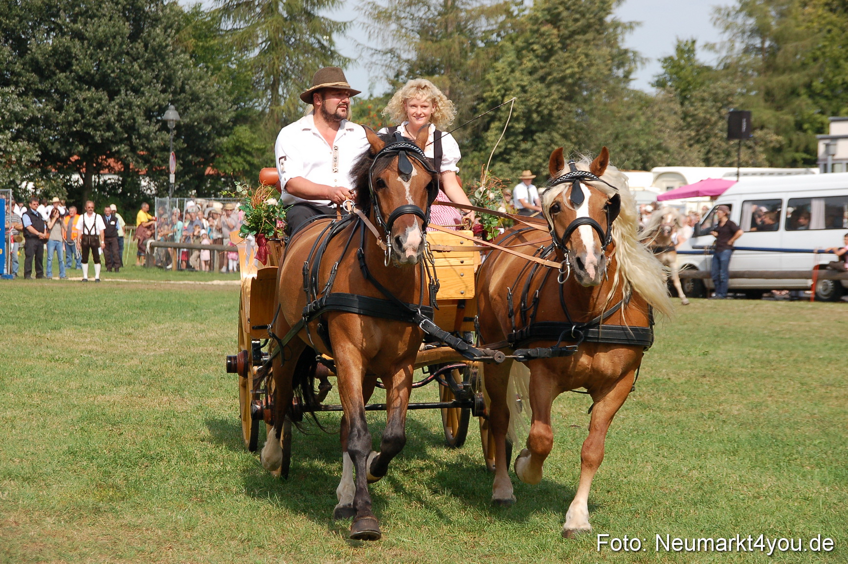 0127 Pferdeschau Volksfest 170809