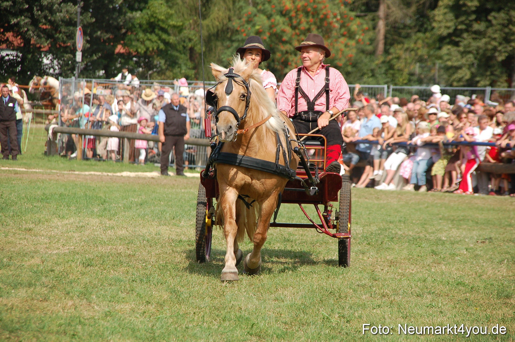 0128 Pferdeschau Volksfest 170809