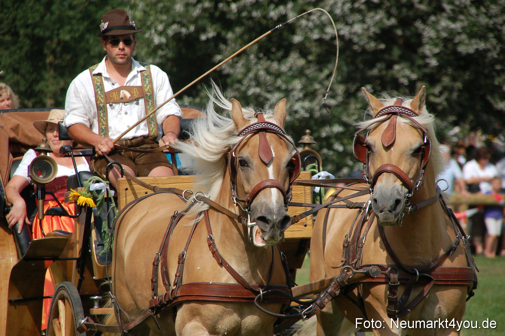 0130 Pferdeschau Volksfest 170809
