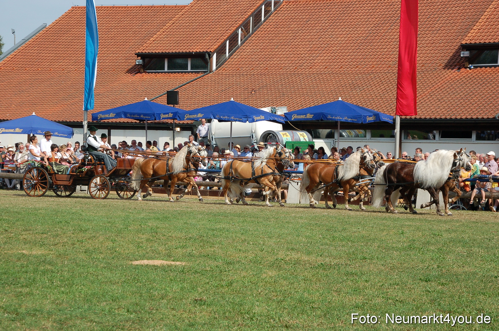 0135 Pferdeschau Volksfest 170809