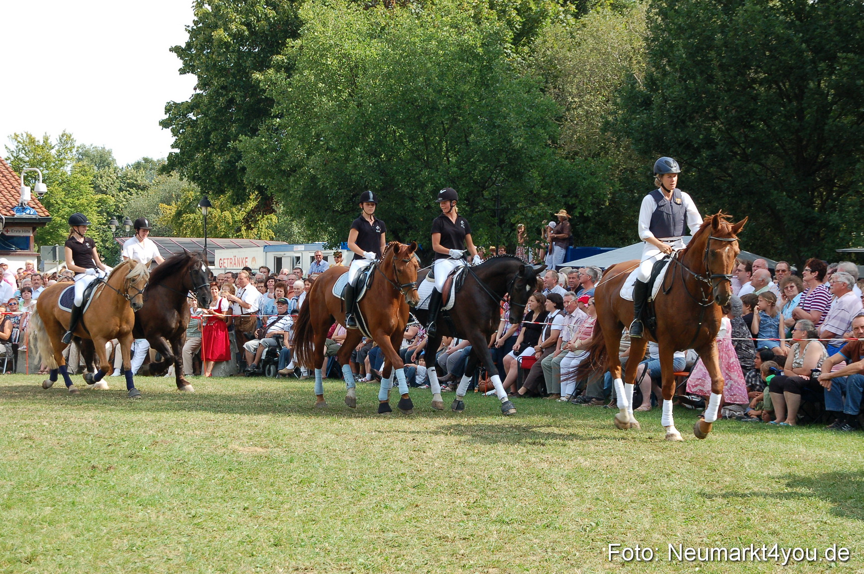 0137 Pferdeschau Volksfest 170809