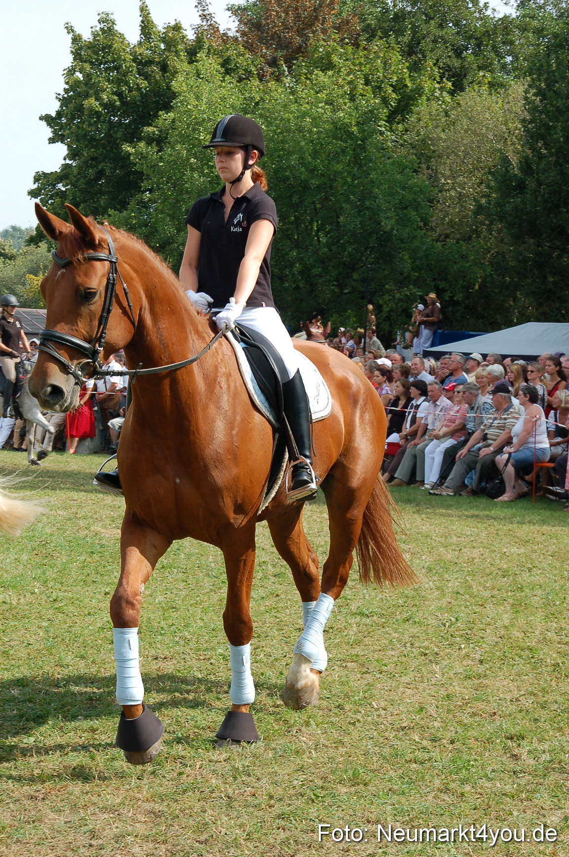 0138 Pferdeschau Volksfest 170809