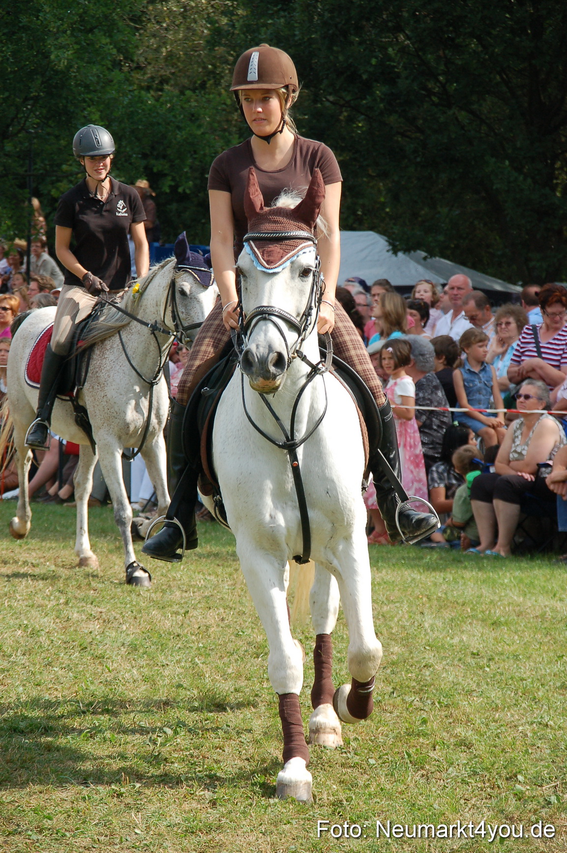 0139 Pferdeschau Volksfest 170809