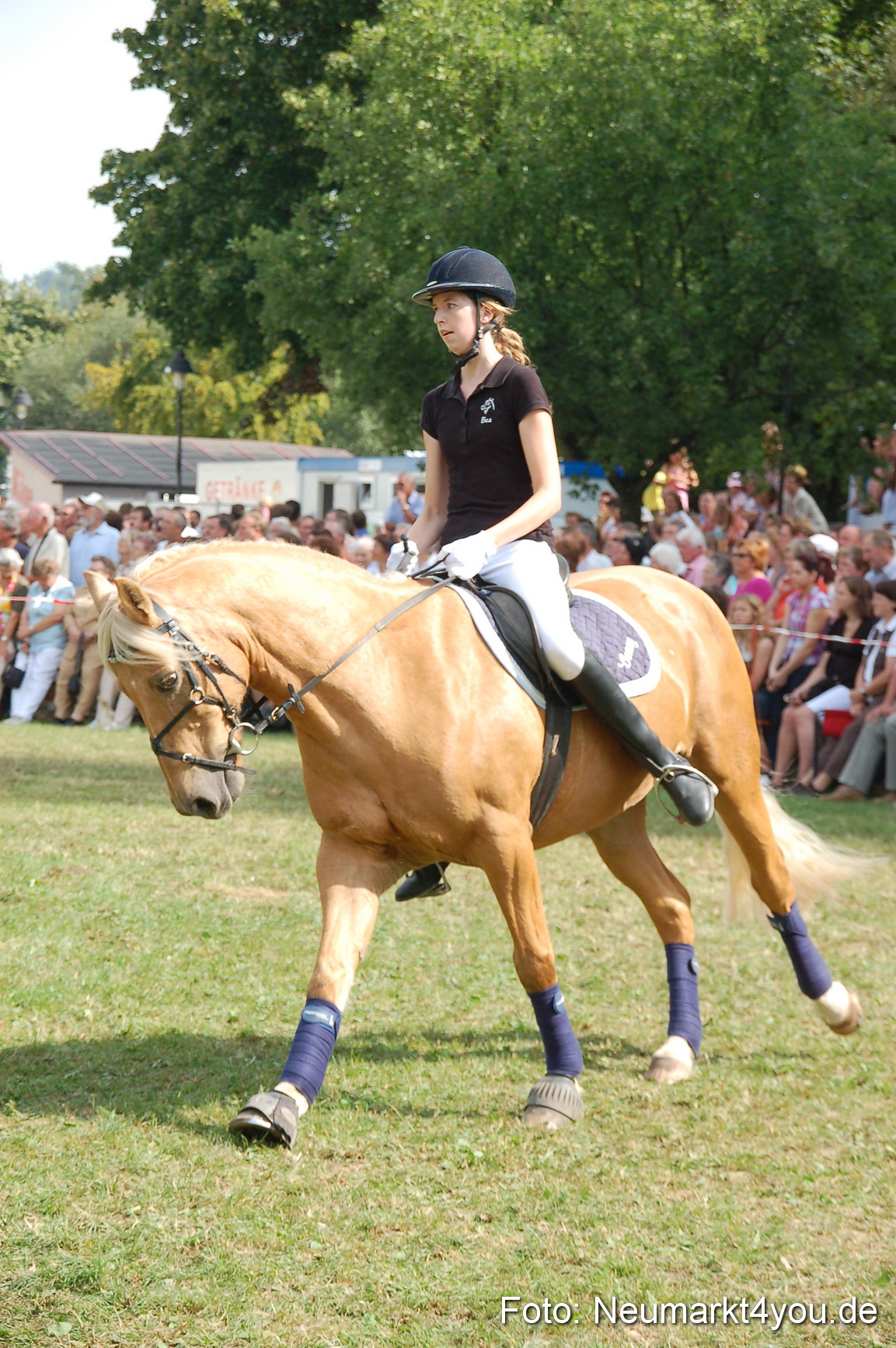 0140 Pferdeschau Volksfest 170809