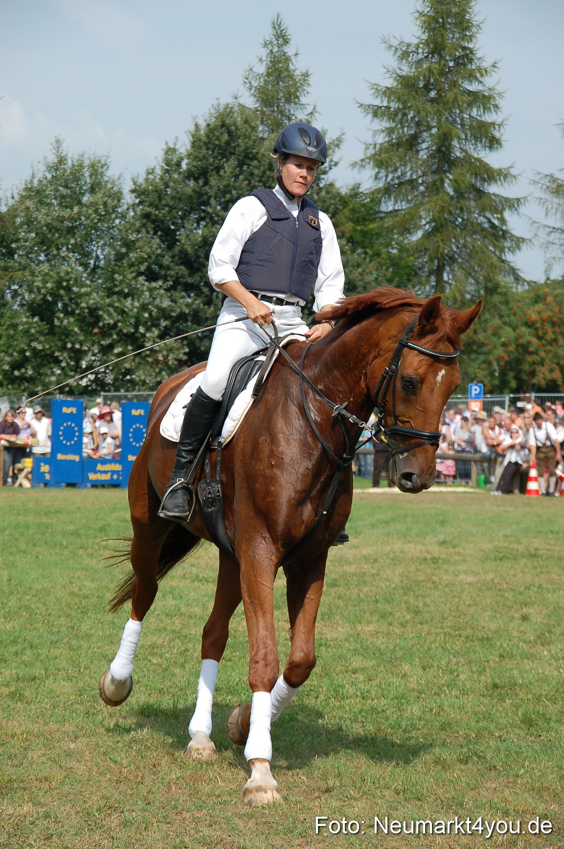 0142 Pferdeschau Volksfest 170809