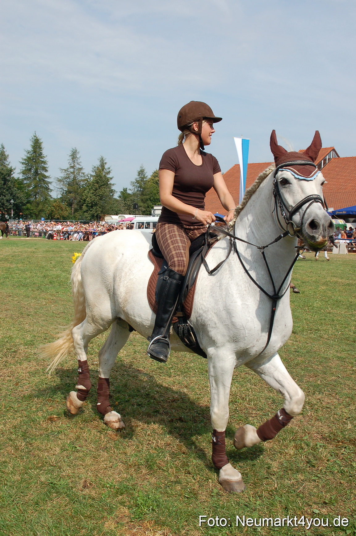 0143 Pferdeschau Volksfest 170809