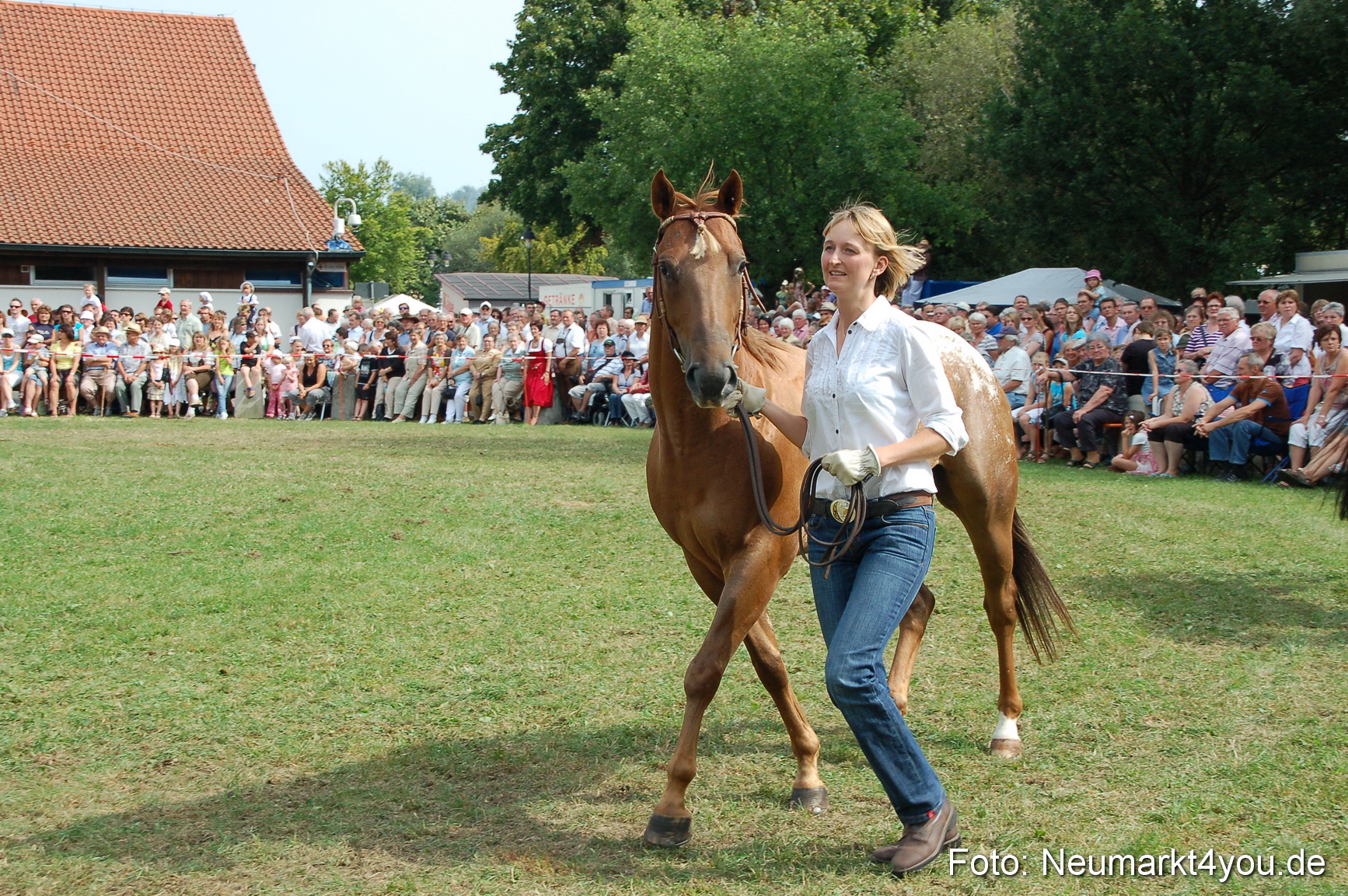 0145 Pferdeschau Volksfest 170809