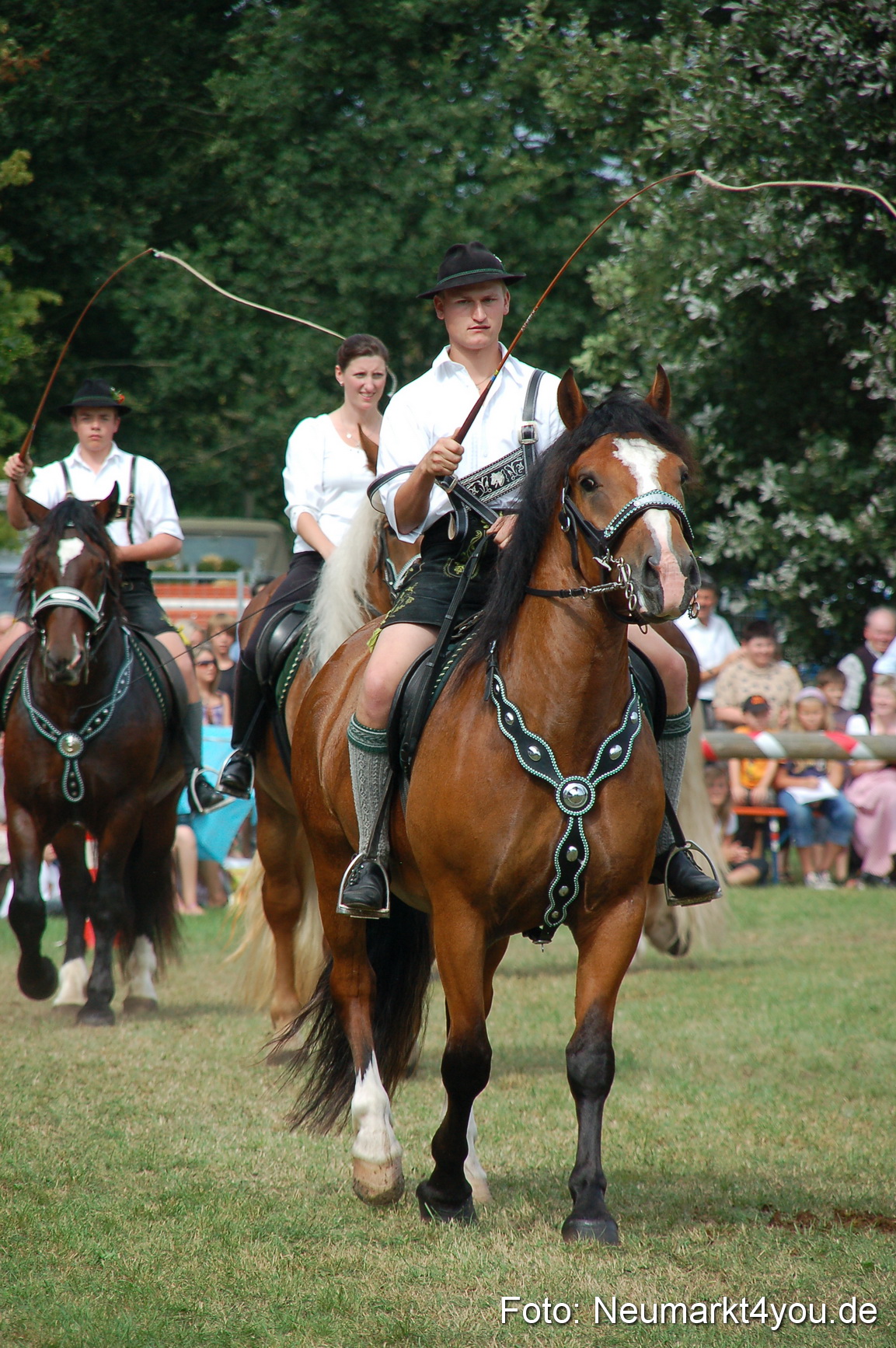 0146 Pferdeschau Volksfest 170809