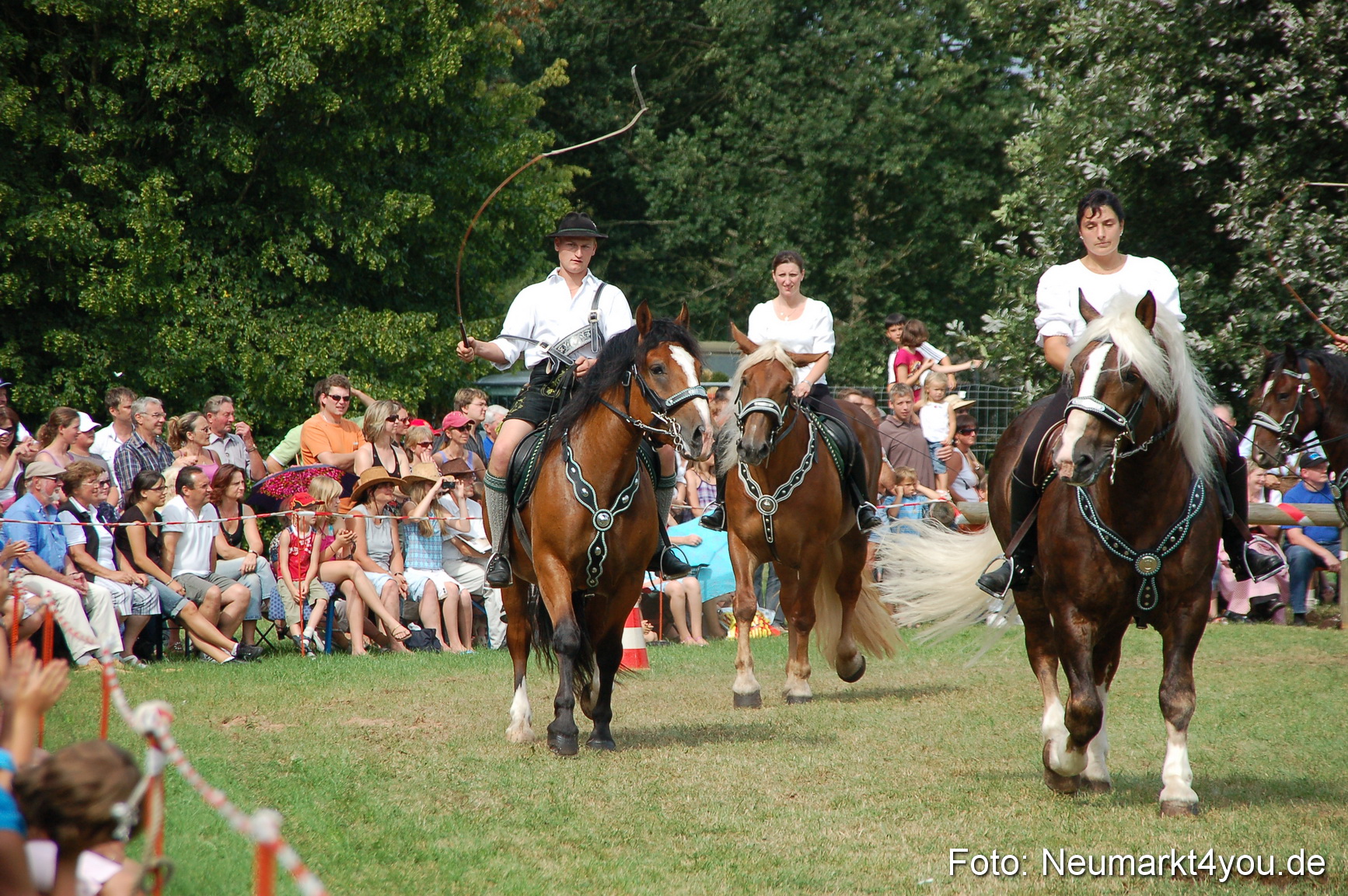 0147 Pferdeschau Volksfest 170809