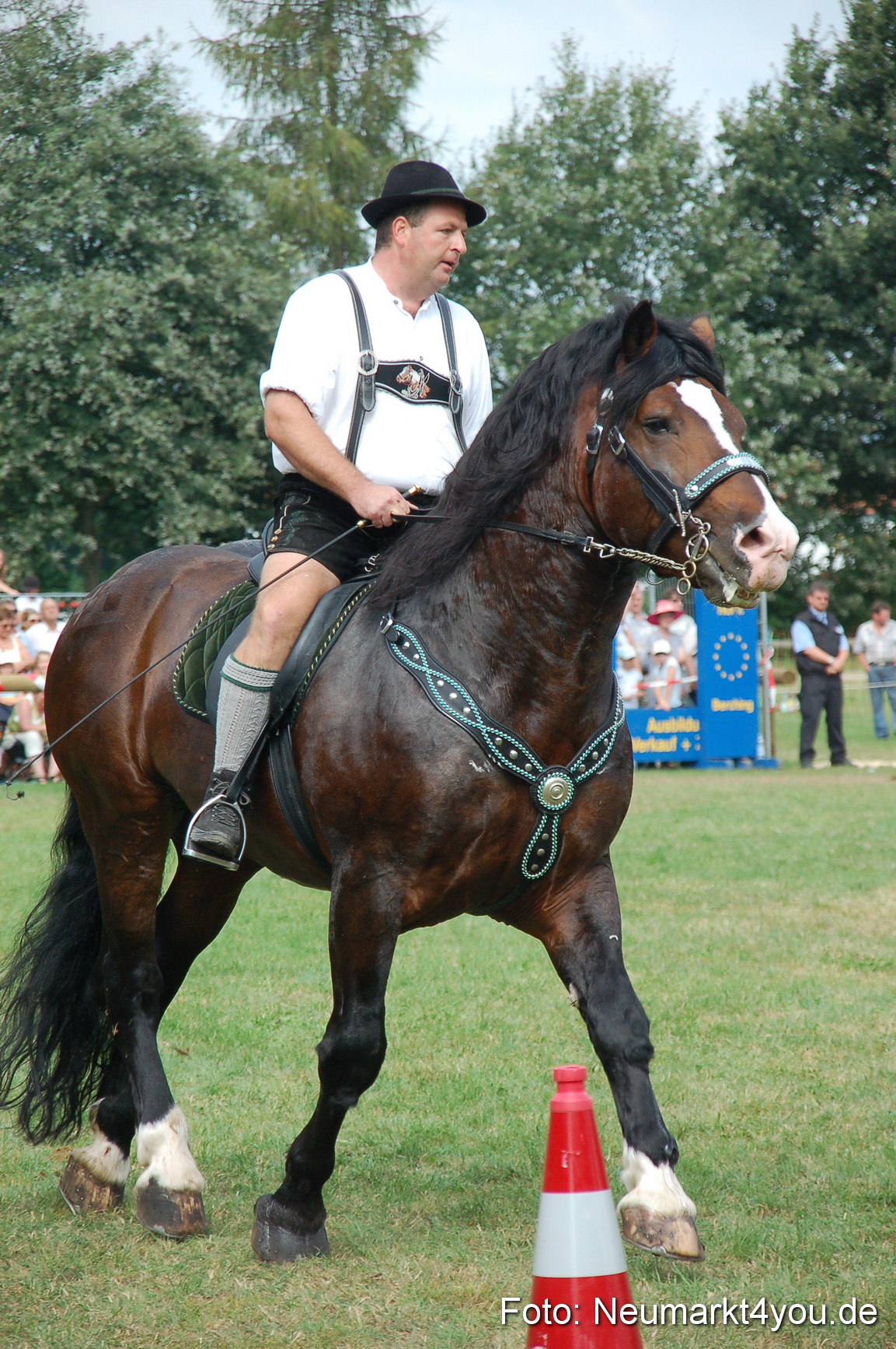 0148 Pferdeschau Volksfest 170809