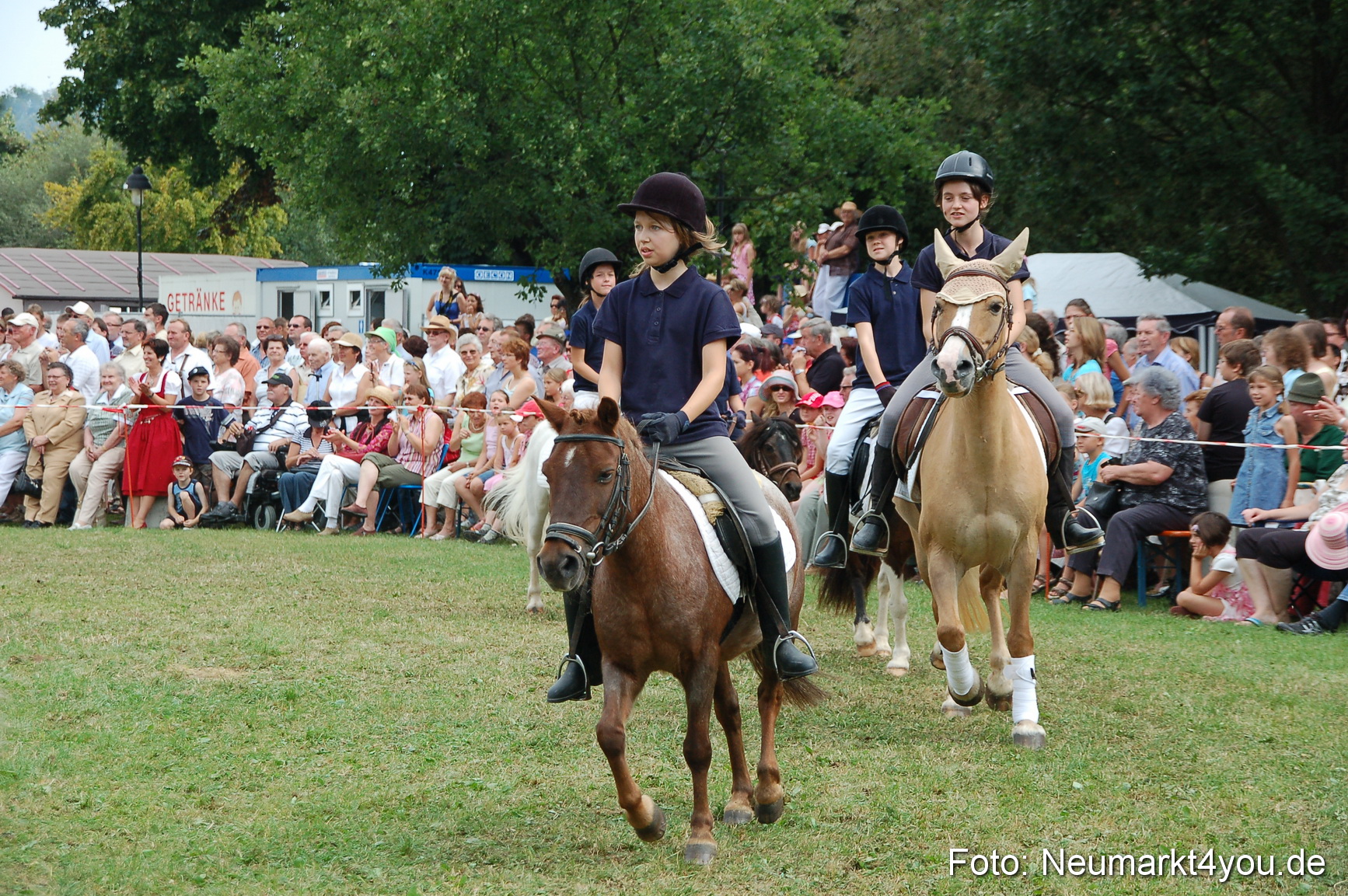 0149 Pferdeschau Volksfest 170809