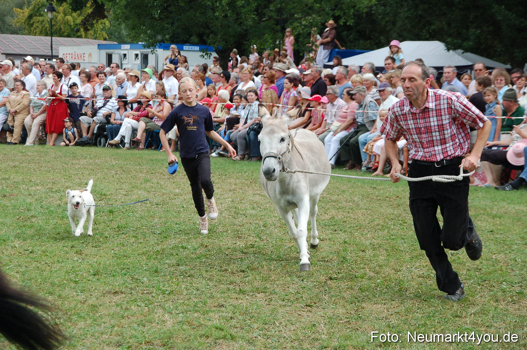 0150 Pferdeschau Volksfest 170809