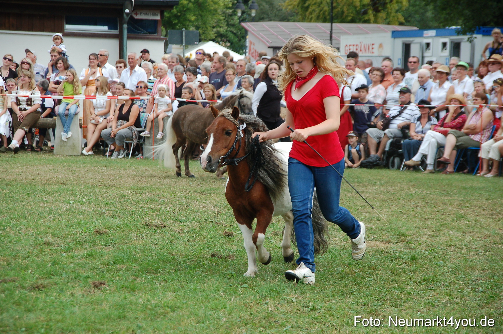 0152 Pferdeschau Volksfest 170809