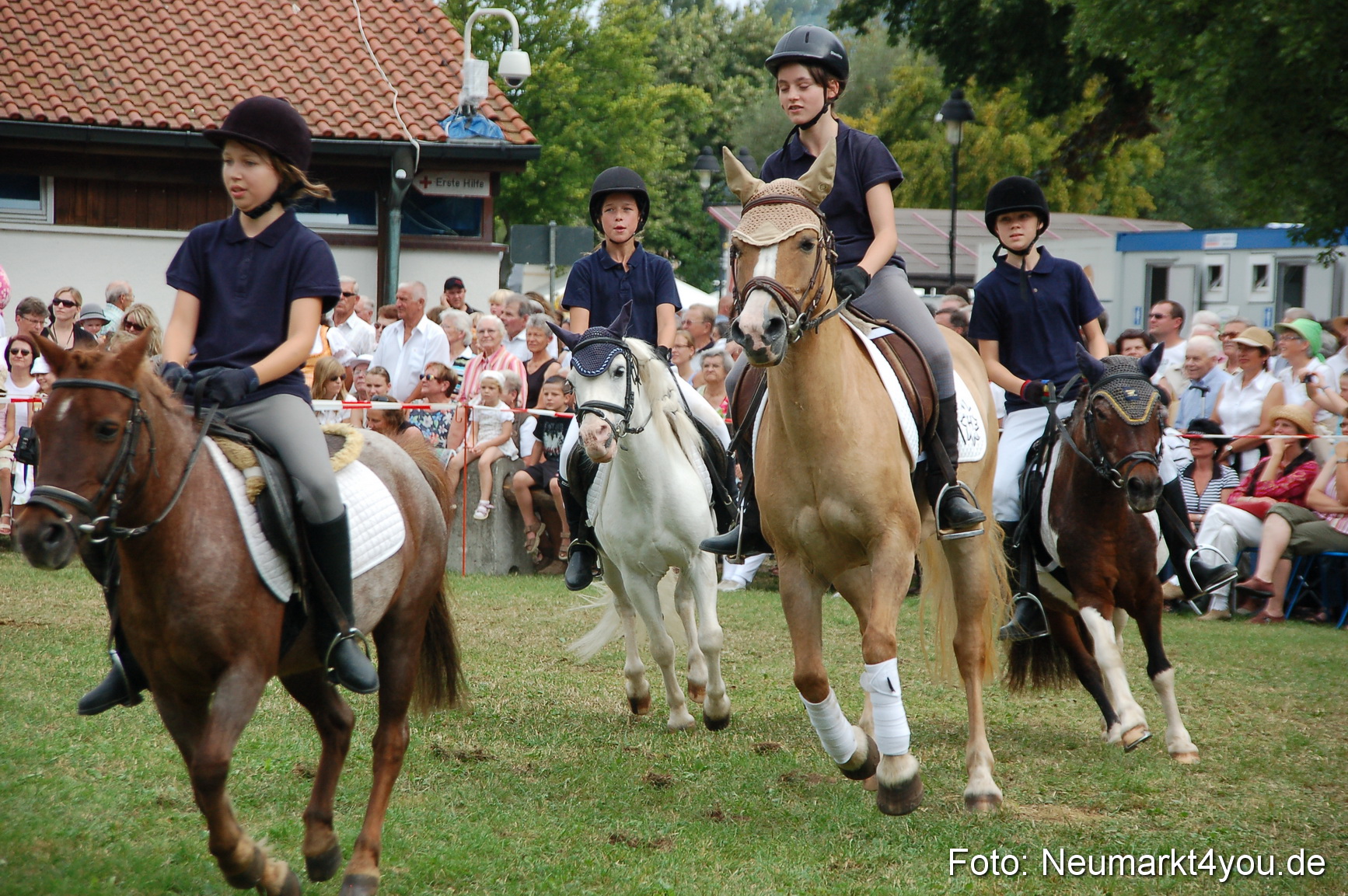0153 Pferdeschau Volksfest 170809