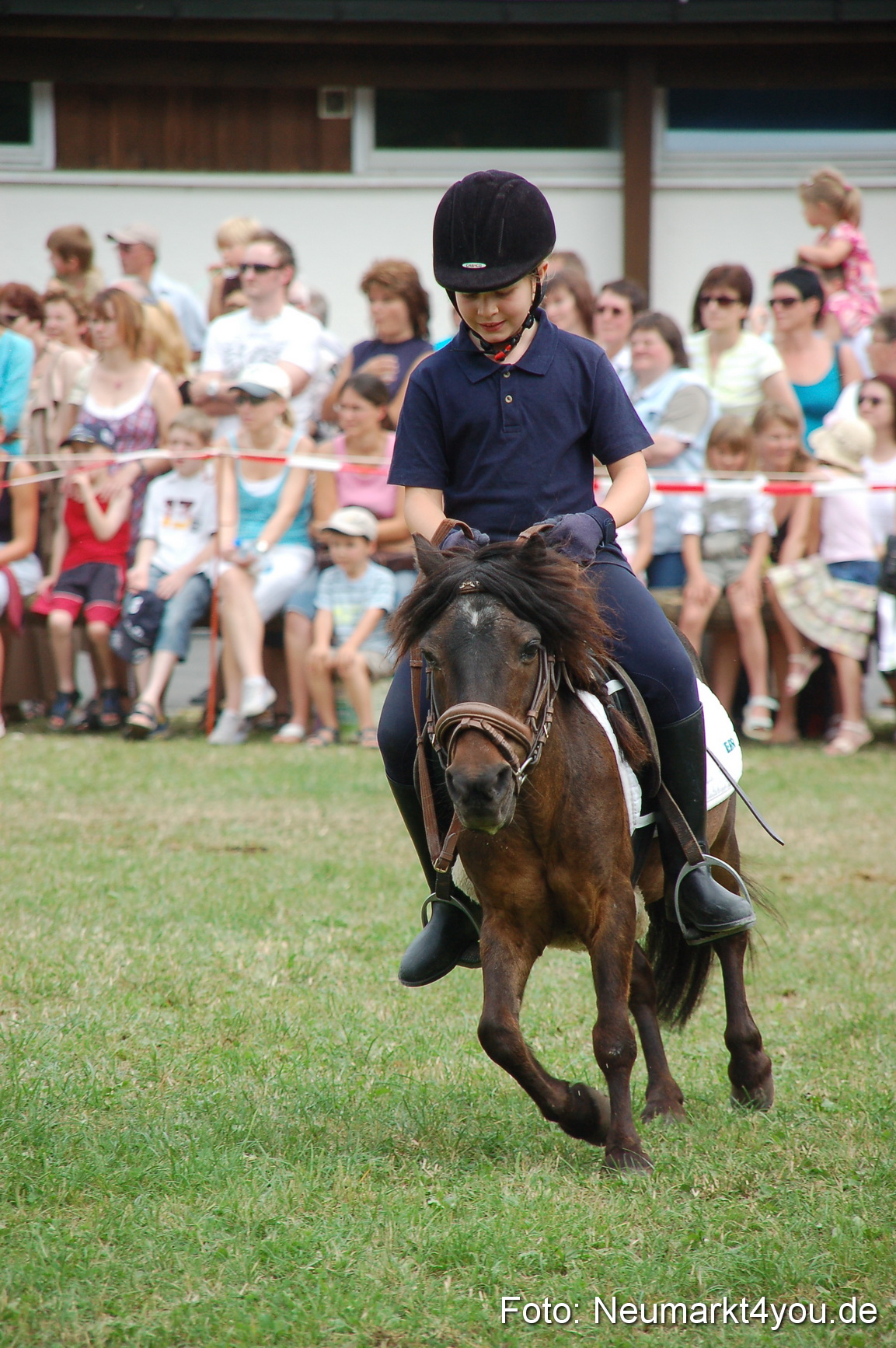 0155 Pferdeschau Volksfest 170809