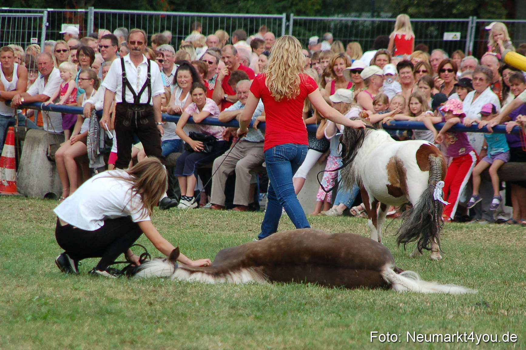 0156 Pferdeschau Volksfest 170809