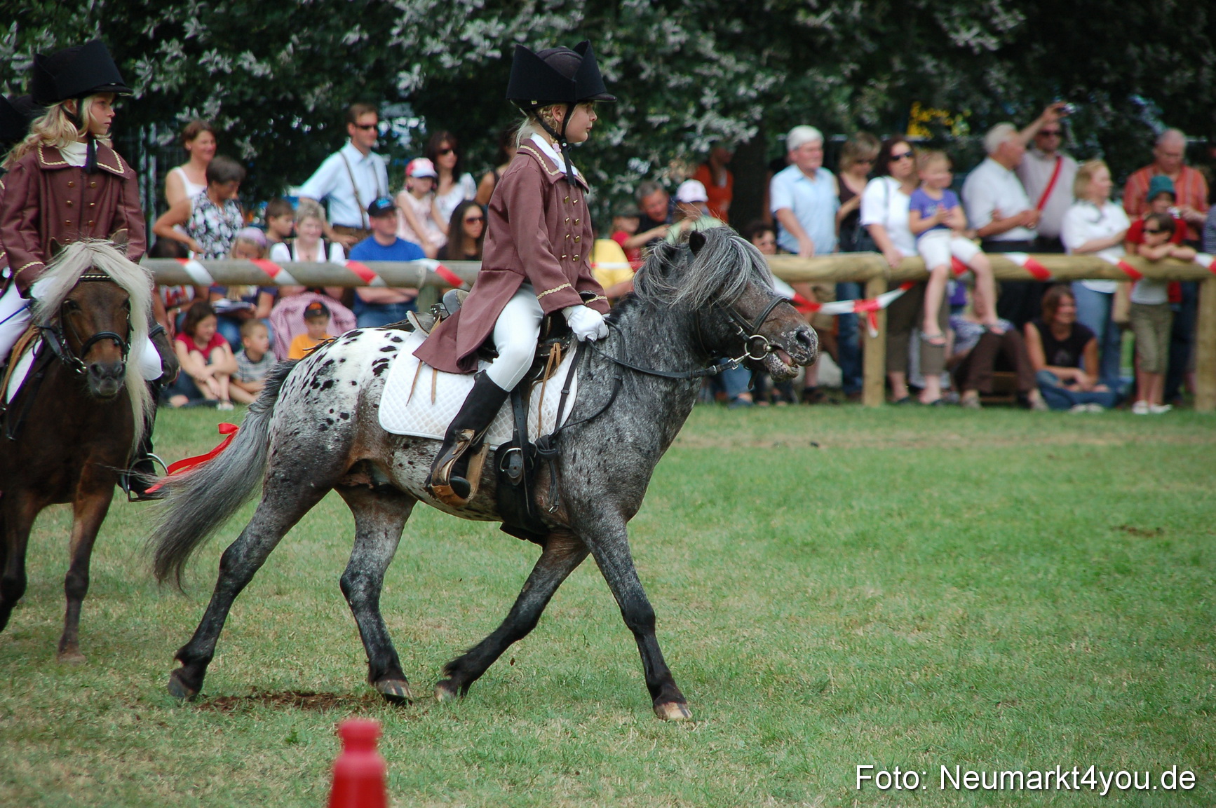 0160 Pferdeschau Volksfest 170809