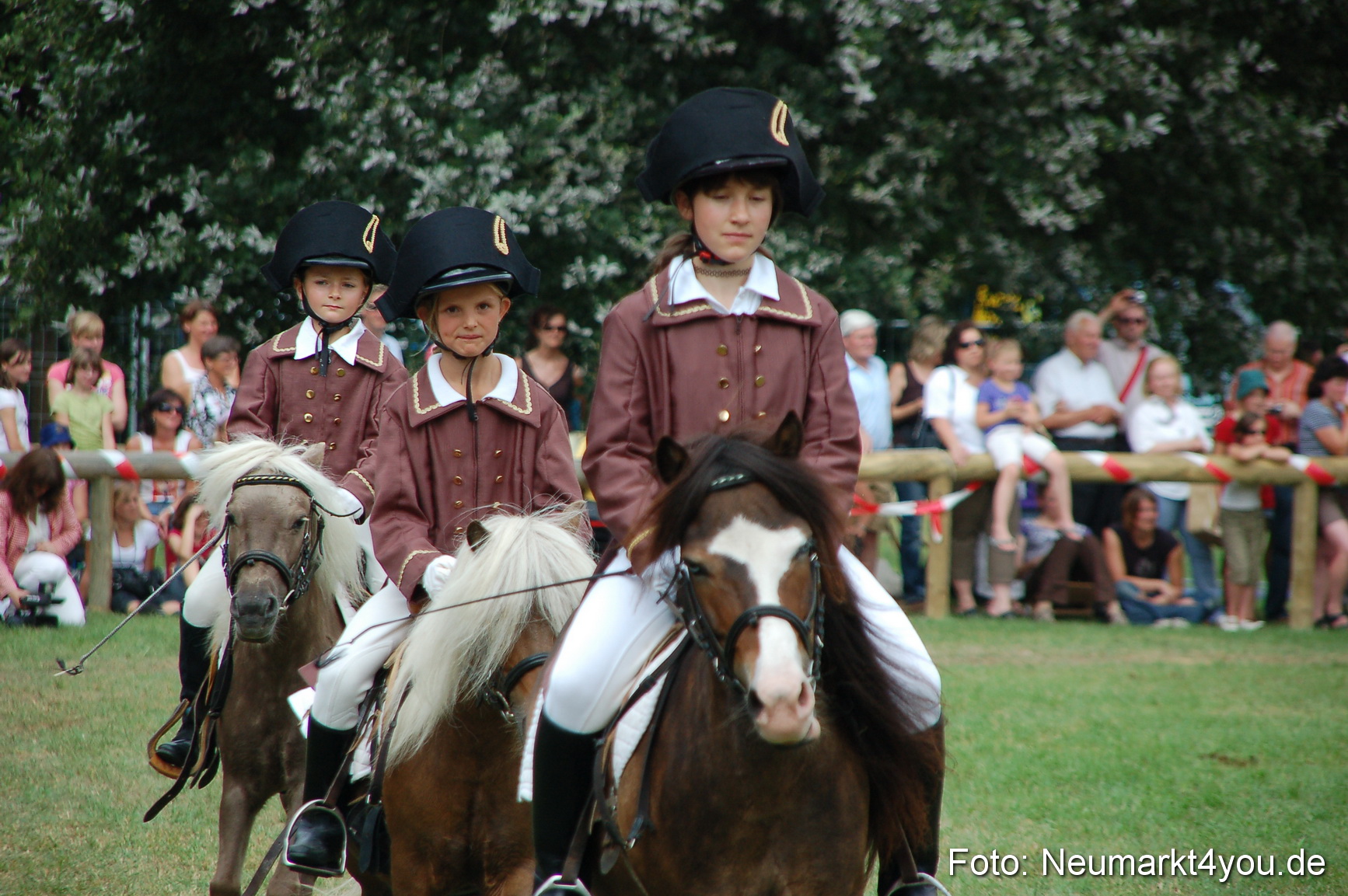 0161 Pferdeschau Volksfest 170809