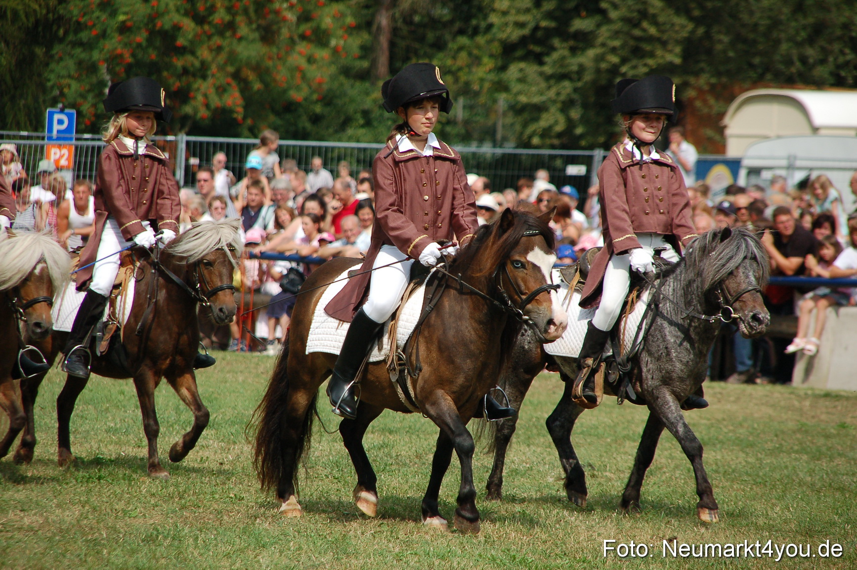 0163 Pferdeschau Volksfest 170809