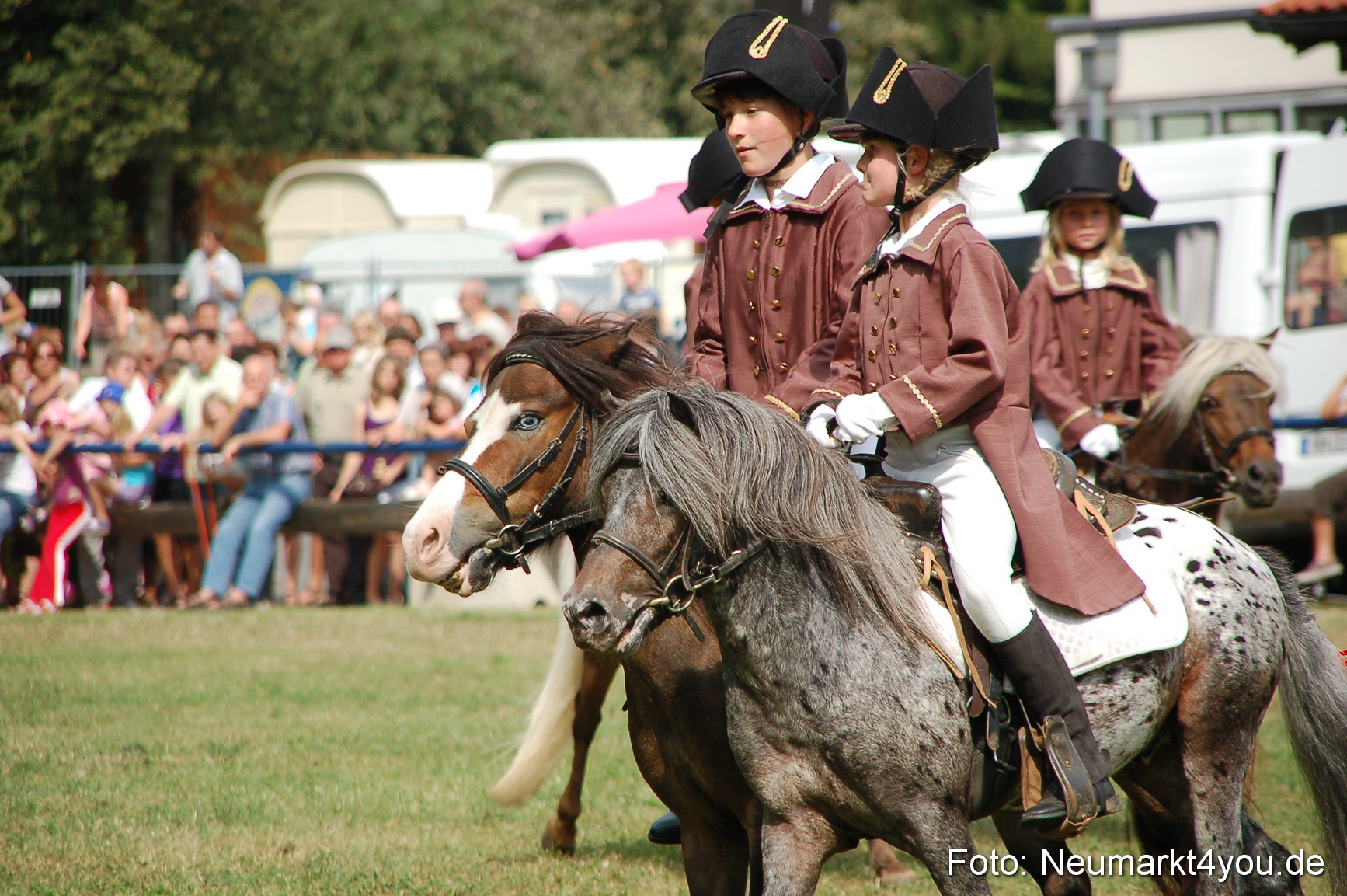 0165 Pferdeschau Volksfest 170809