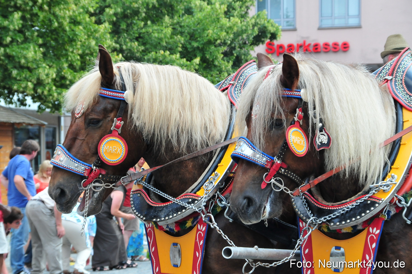 0045 Volksfestzug Neumarkt 090809