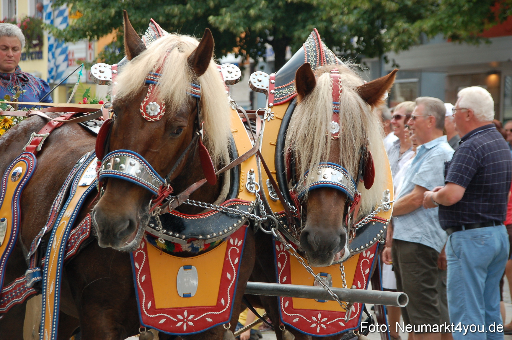 0064 Volksfestzug Neumarkt 090809