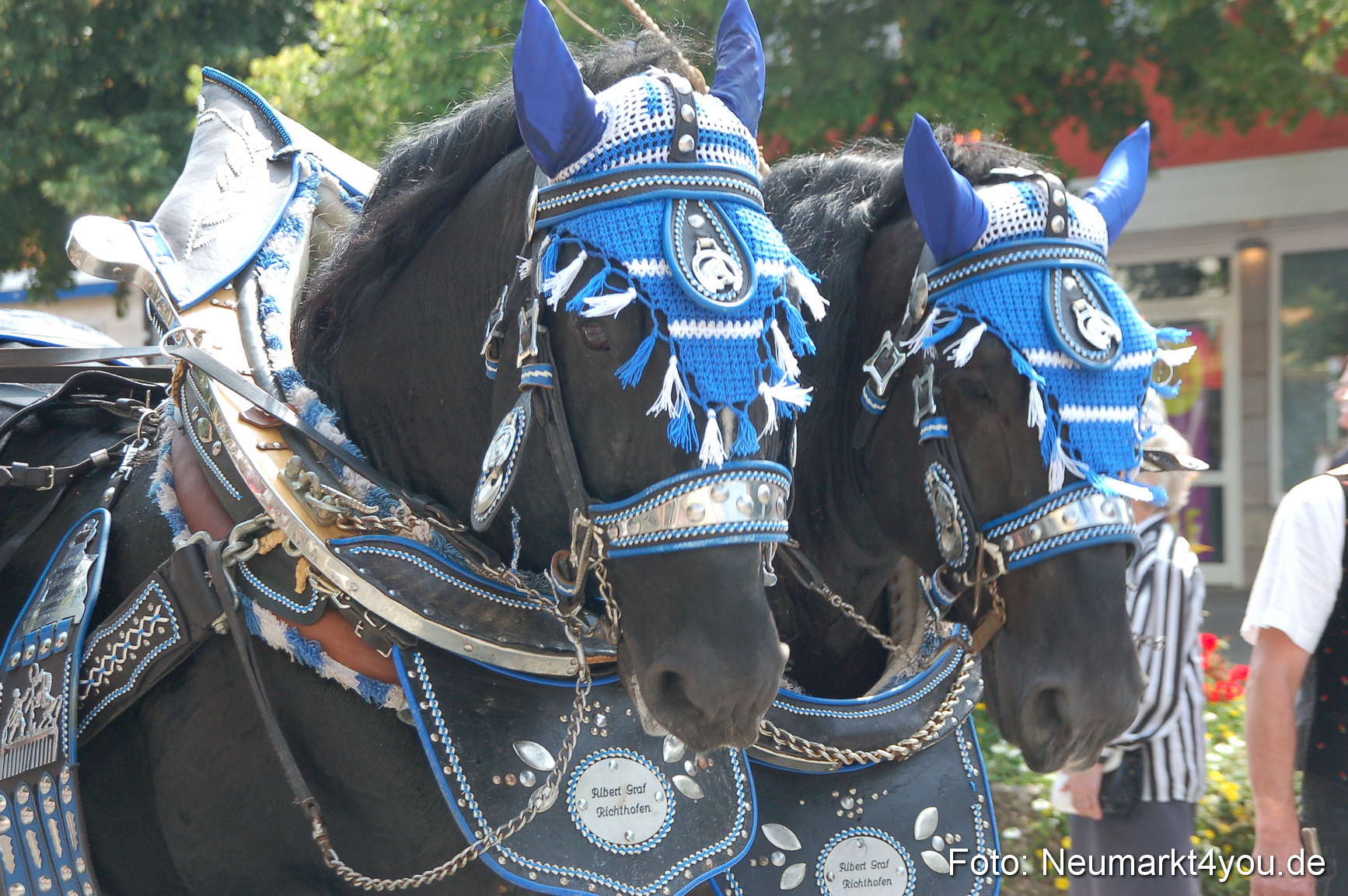 0130 Volksfestzug Neumarkt 090809