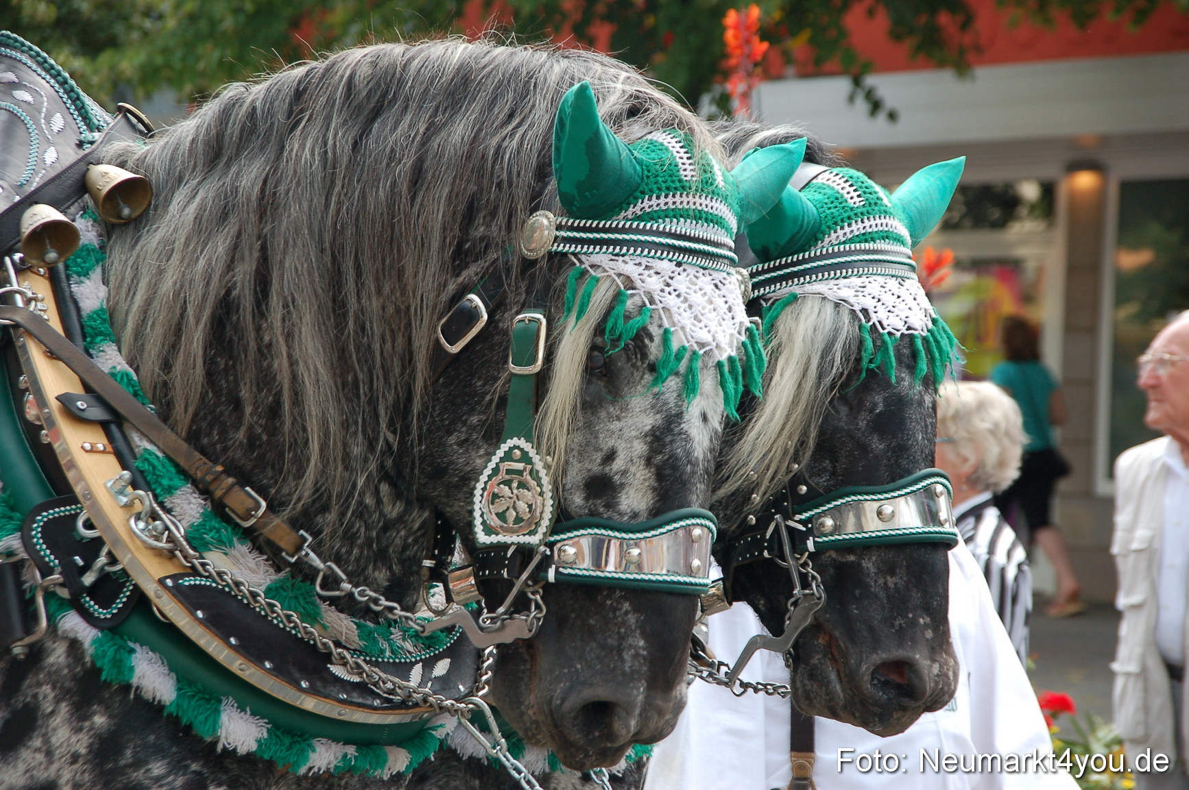 0143 Volksfestzug Neumarkt 090809